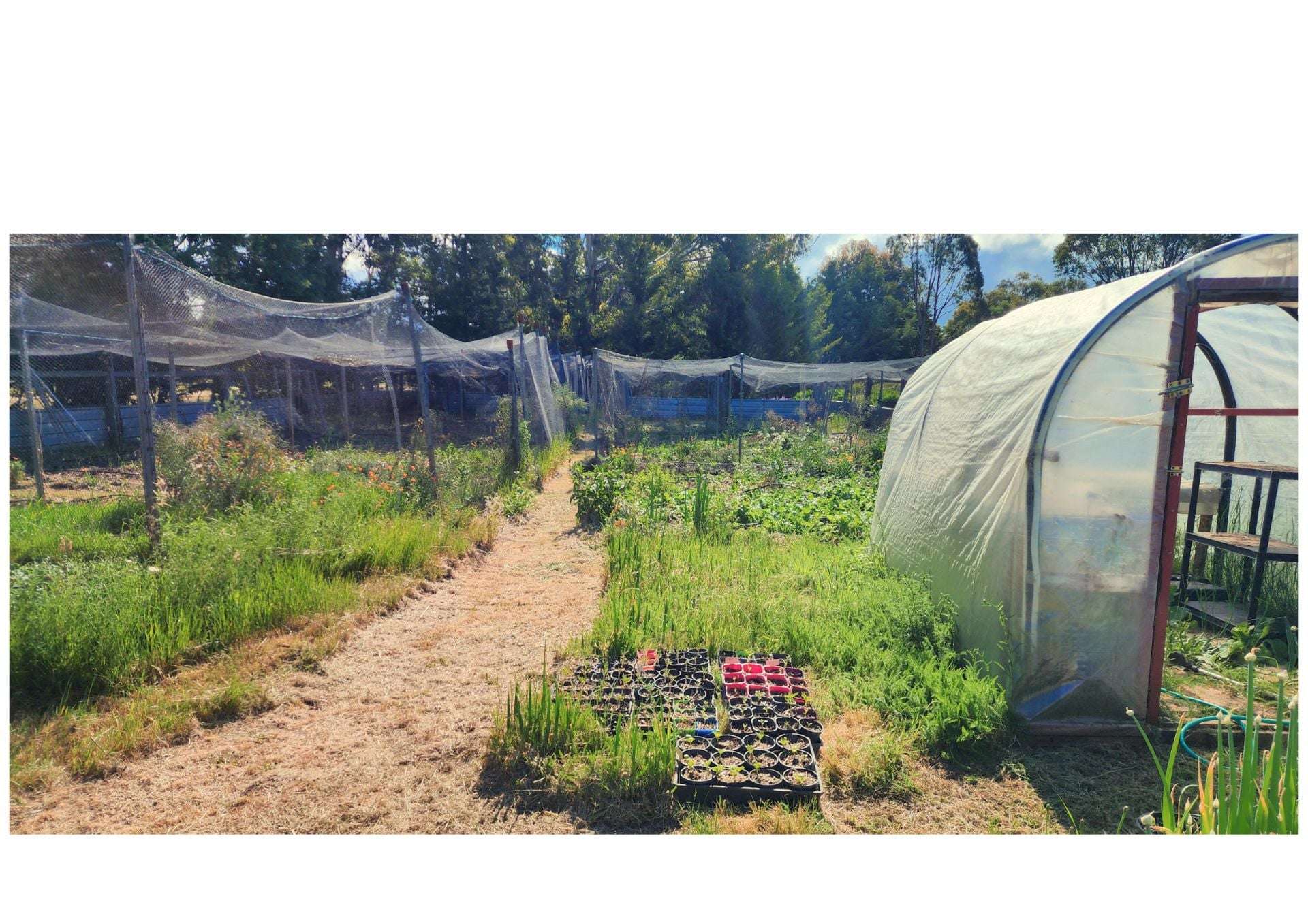 71 Thornhill Lane, Elphinstone For Sale by Farmbuy.com - image 15