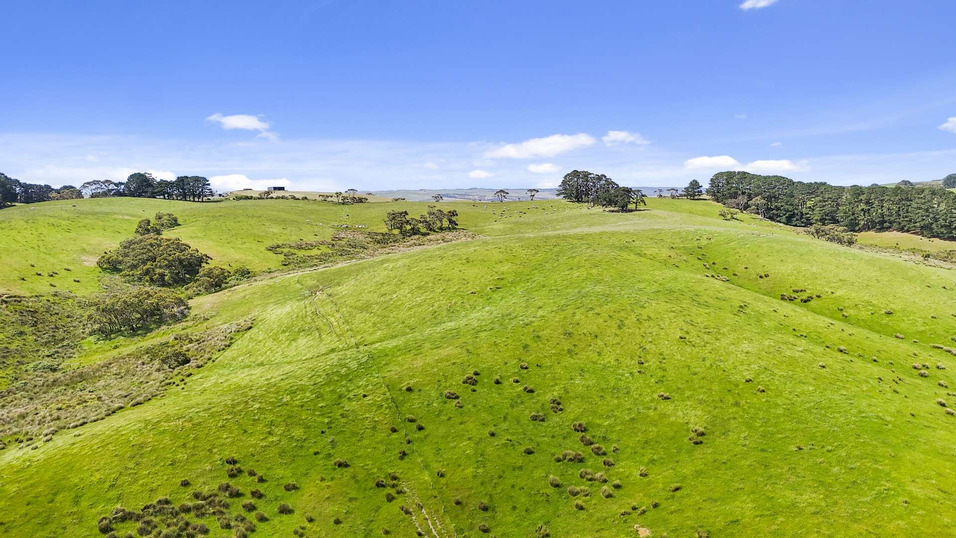 137 Faggotter Road, Myponga For Sale by Farmbuy.com - image 8