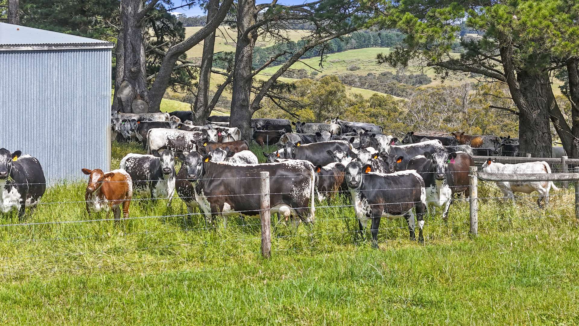 137 Faggotter Road, Myponga For Sale by Farmbuy.com - image 1