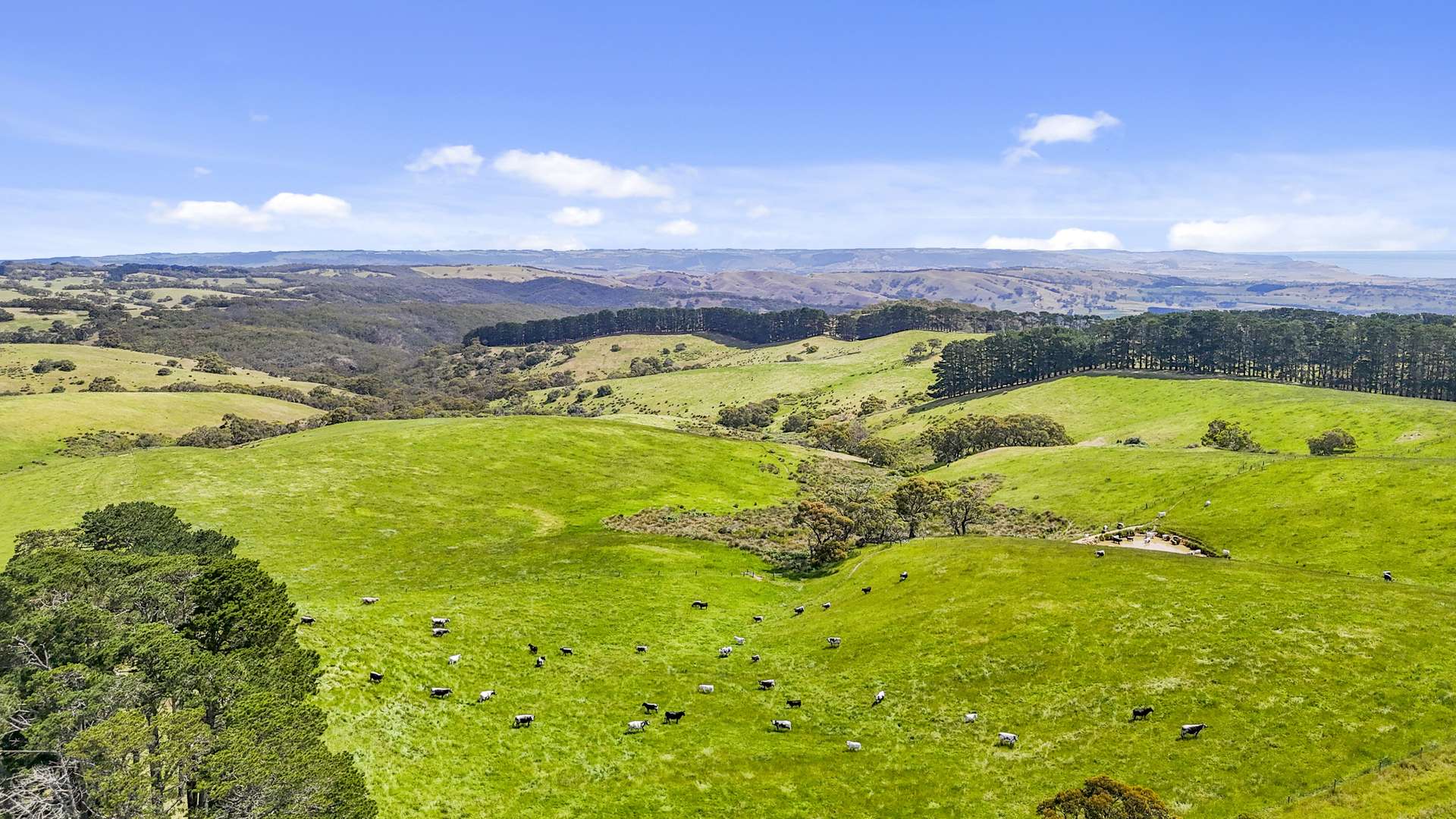 137 Faggotter Road, Myponga For Sale by Farmbuy.com - image 3