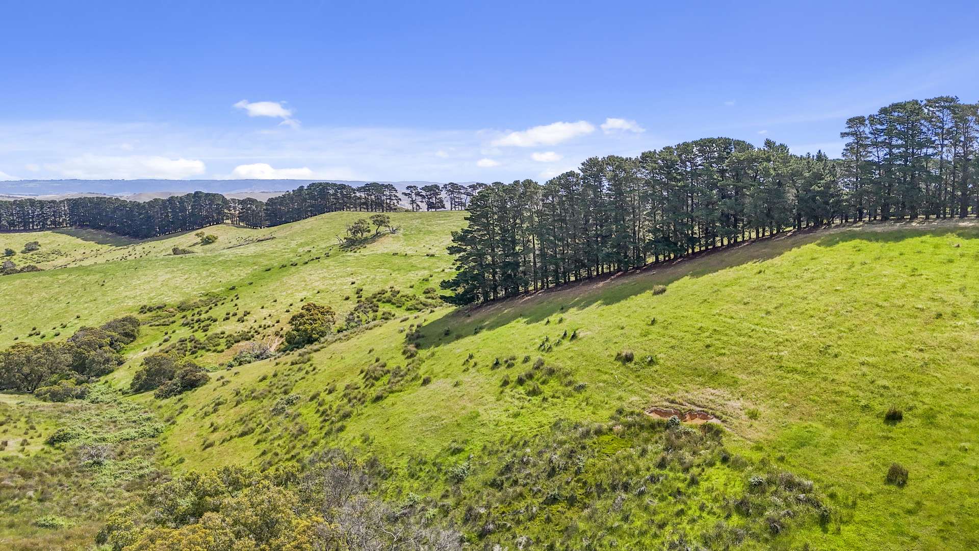 137 Faggotter Road, Myponga For Sale by Farmbuy.com - image 26