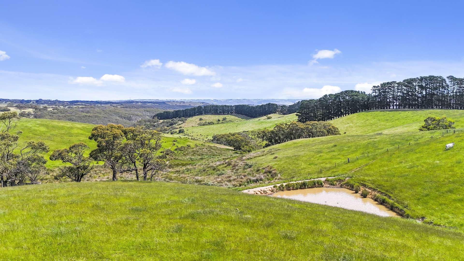 137 Faggotter Road, Myponga For Sale by Farmbuy.com - image 21