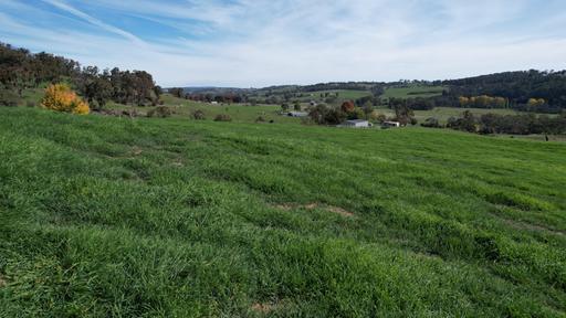 Farm For Sale - NSW - Tumbarumba - 2653 - 580 Batlow Road, Tumbarumba, Your Ideal Weekend Escape on 40.08ha 