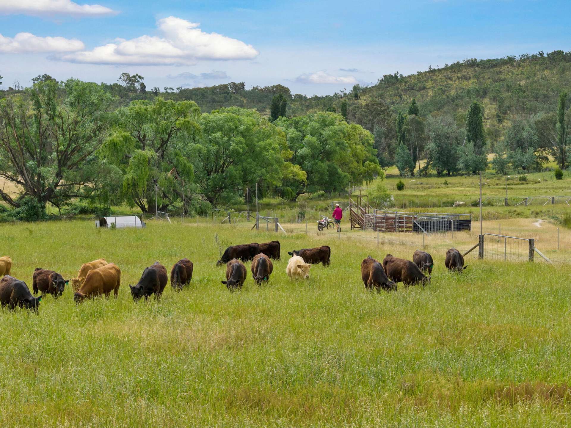 2025 Rugby Road, Frogmore Via, Boorowa For Sale by Farmbuy.com - image 18