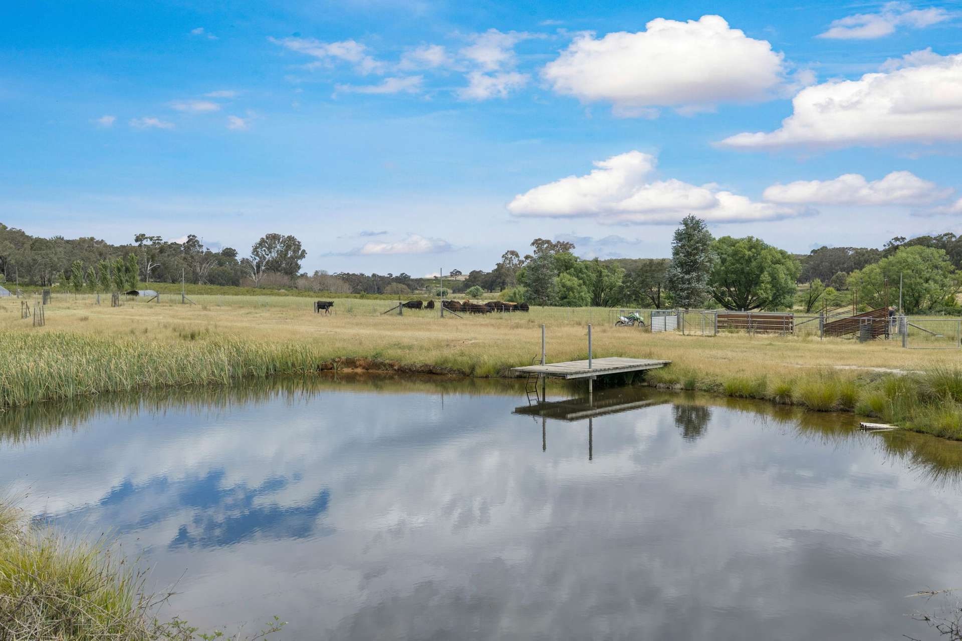 2025 Rugby Road, Frogmore Via, Boorowa For Sale by Farmbuy.com - image 17