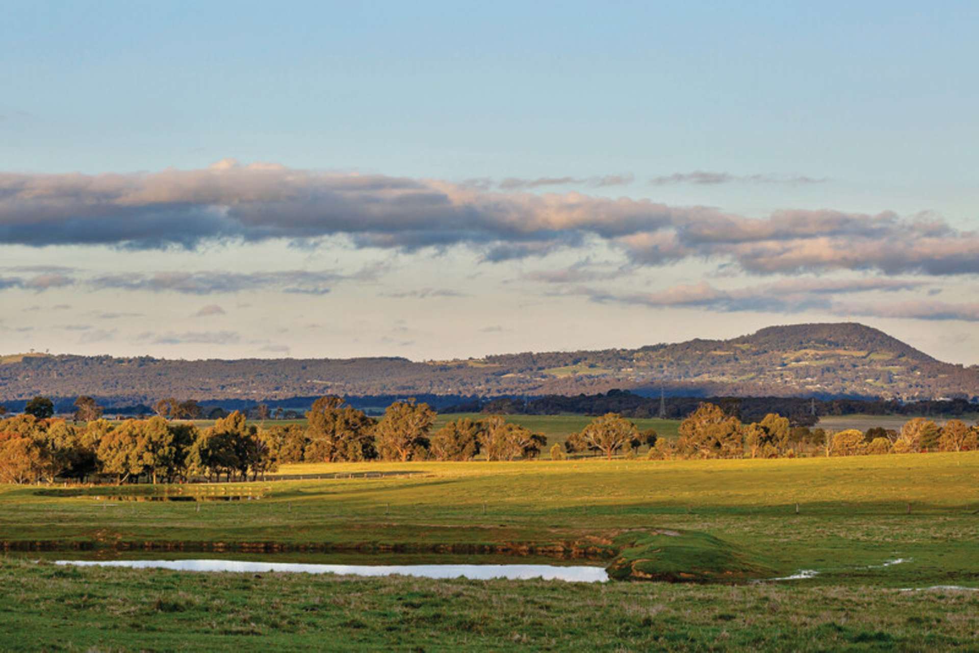 45 Stonier Road, Ross Creek For Sale by Farmbuy.com - image 27