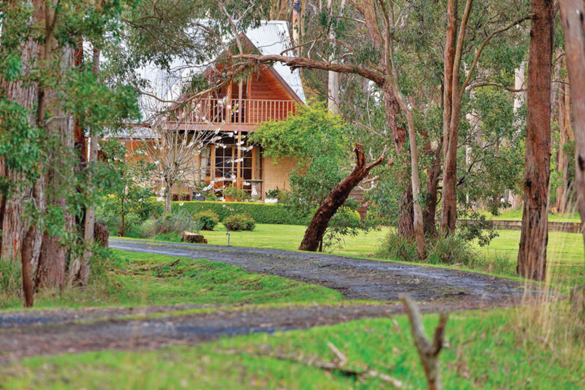 45 Stonier Road, Ross Creek For Sale by Farmbuy.com - image 18