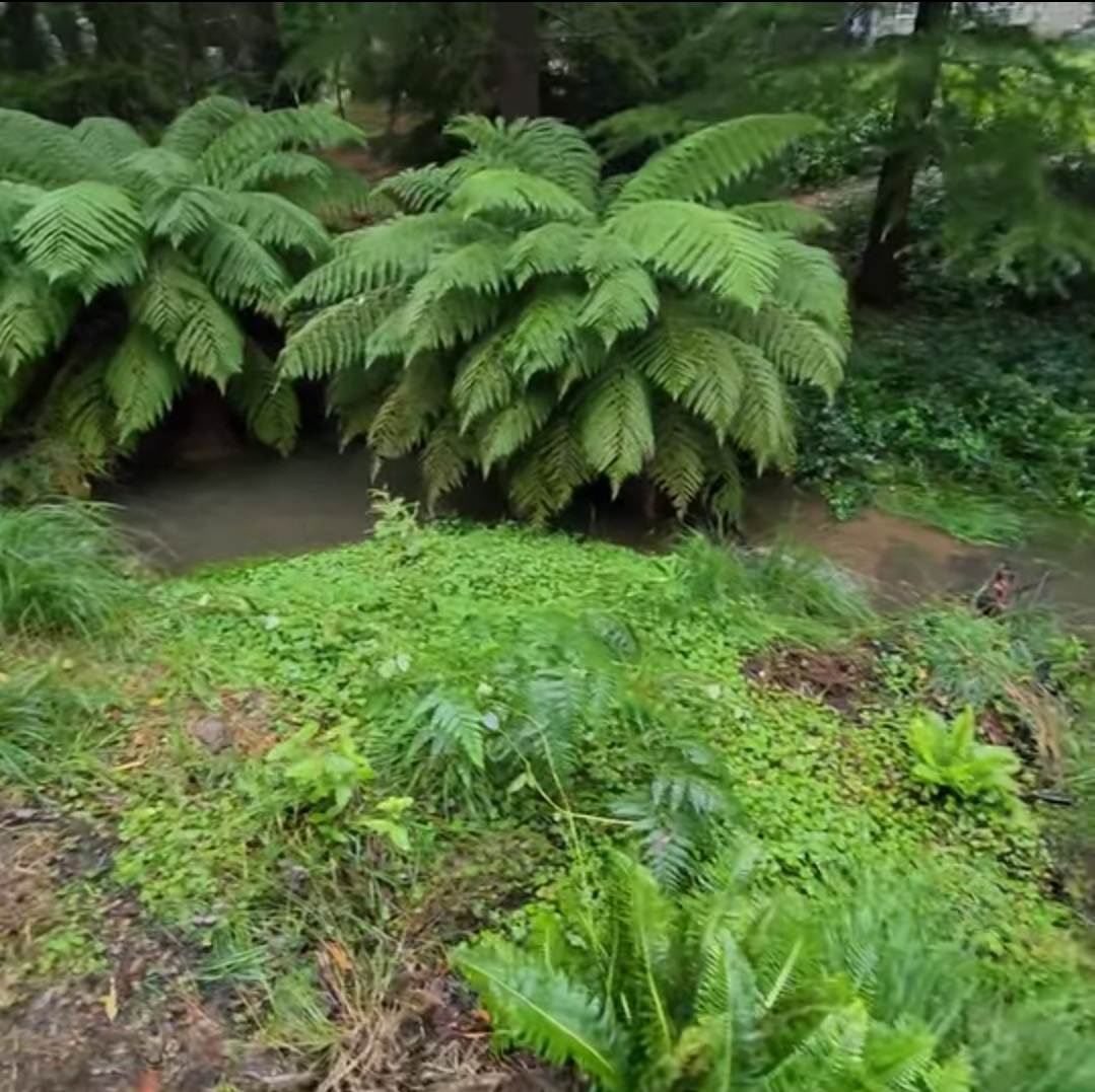 51 Doctors Gap Road, Doctors Gap For Sale by Farmbuy.com - image 11