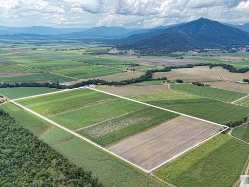 174 Dallachy Road, Silky Oak QLD 4854