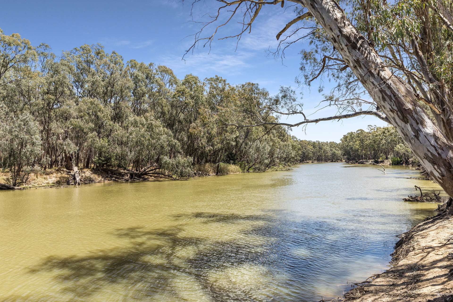 95 North Barham Road, Barham For Sale by Farmbuy.com - image 15