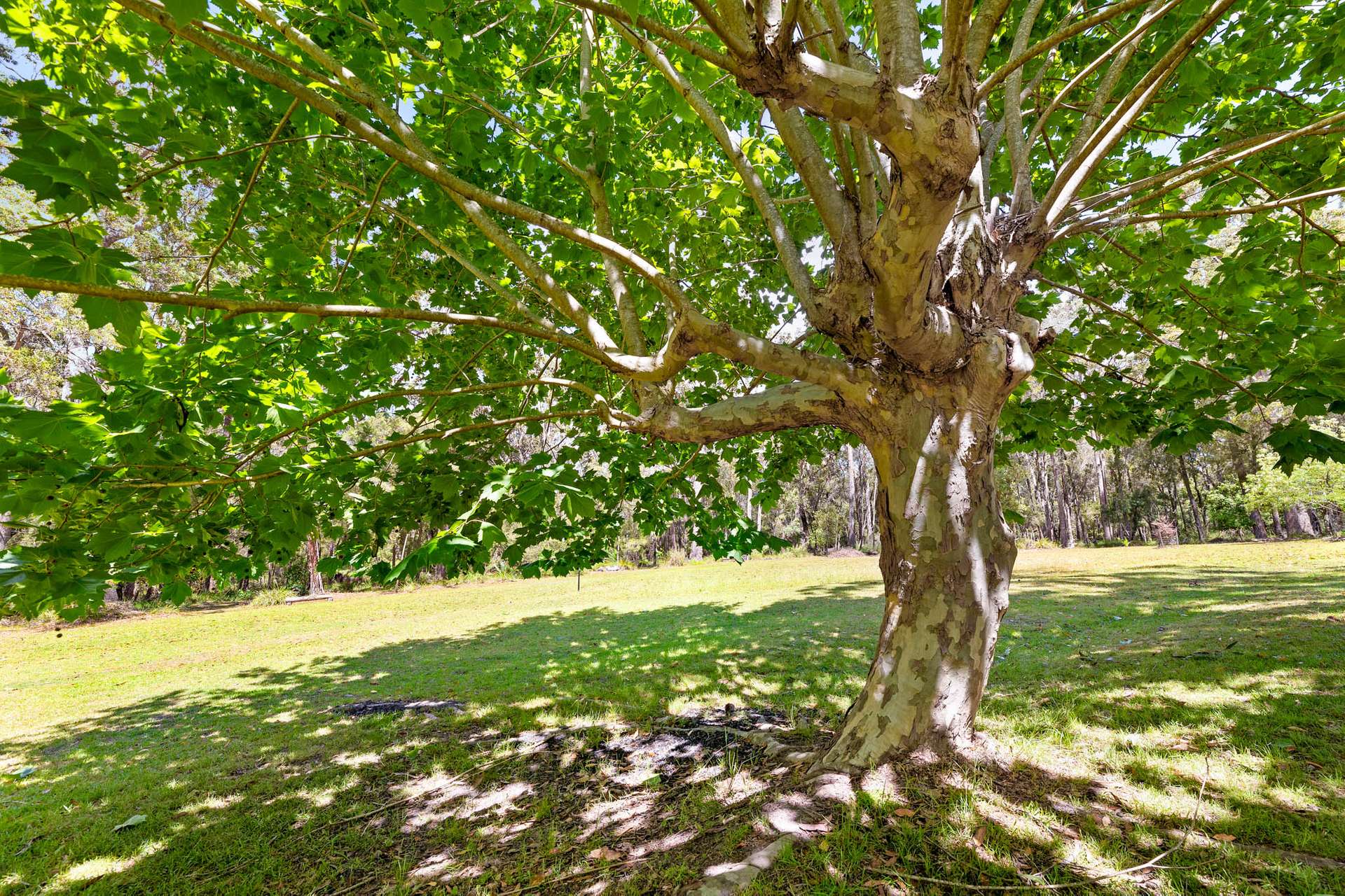 343 Bingie Road, Bingie For Sale by Farmbuy.com - image 7