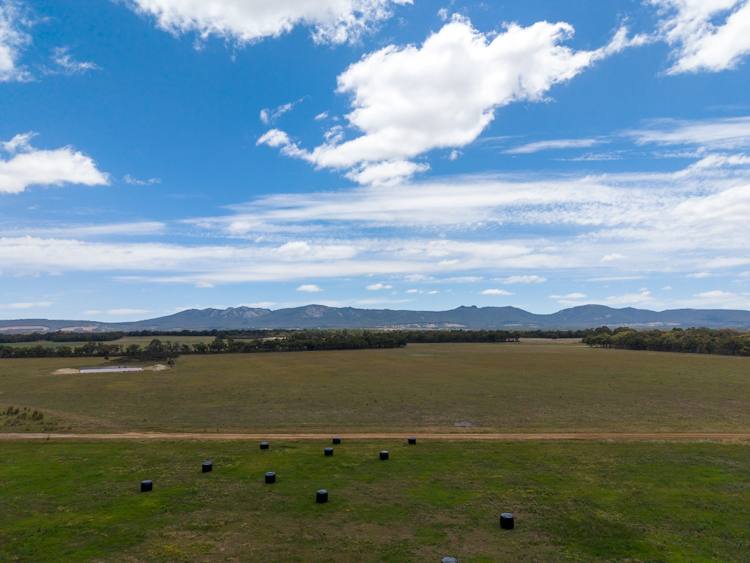 Lot 474 Yellanup Road, Narrikup For Sale by Farmbuy.com - image 20