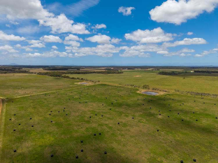 Lot 474 Yellanup Road, Narrikup For Sale by Farmbuy.com - image 6