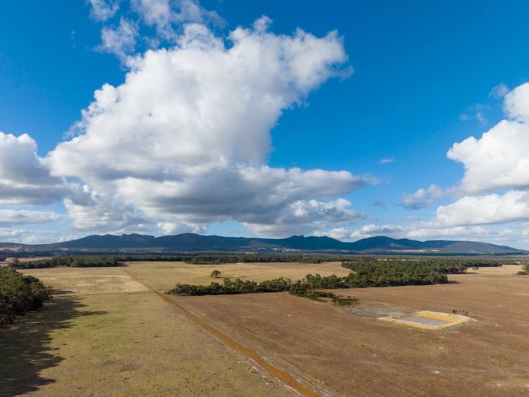Lot 474 Yellanup Road, Narrikup For Sale by Farmbuy.com - image 3