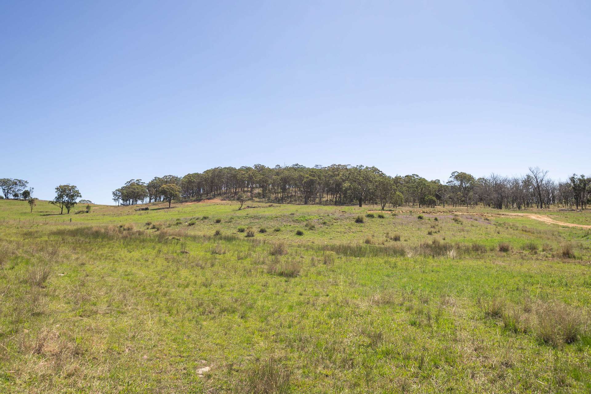 4 Brown Road, Dalveen For Sale by Farmbuy.com - image 5