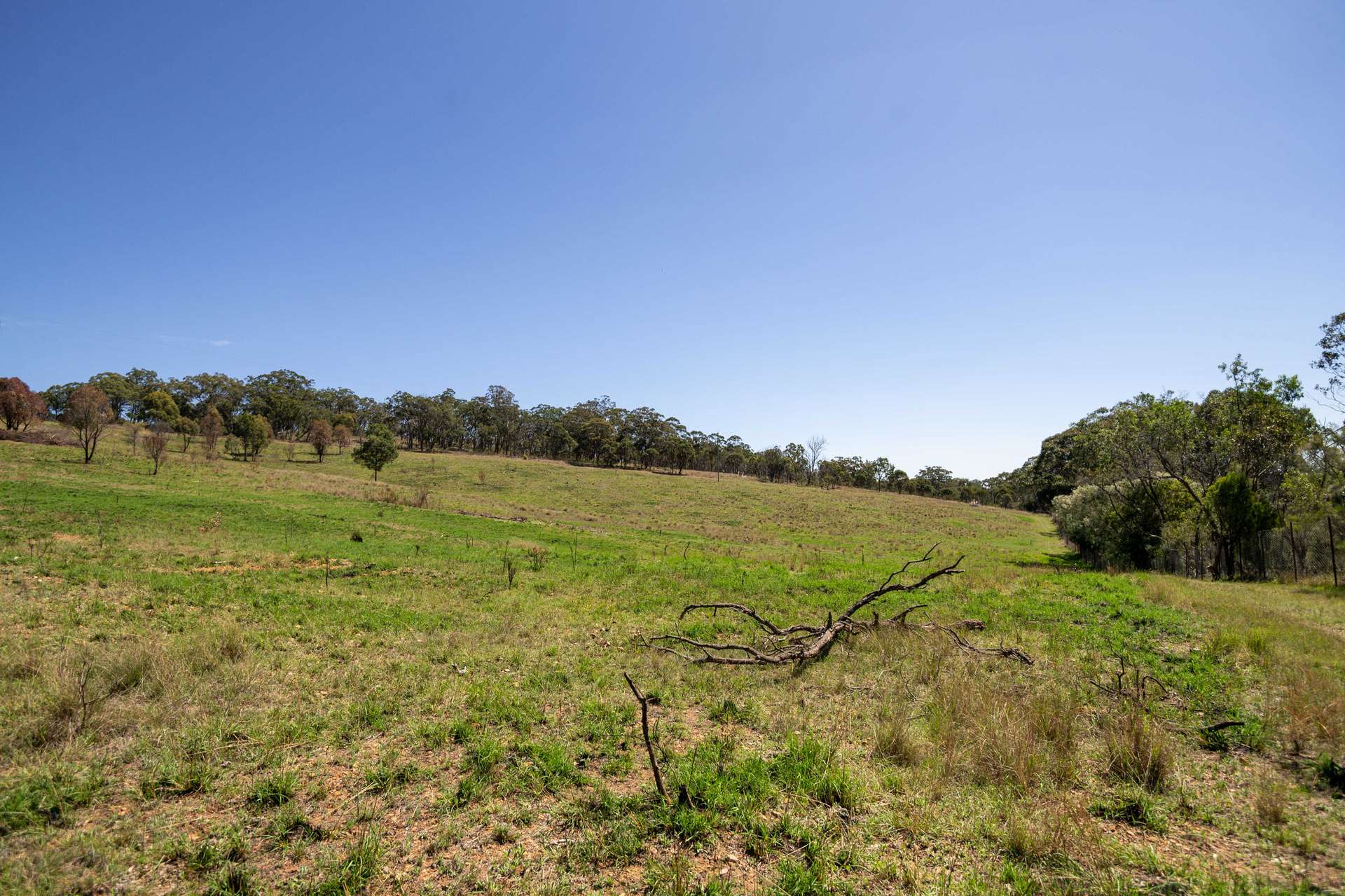4 Brown Road, Dalveen For Sale by Farmbuy.com - image 4