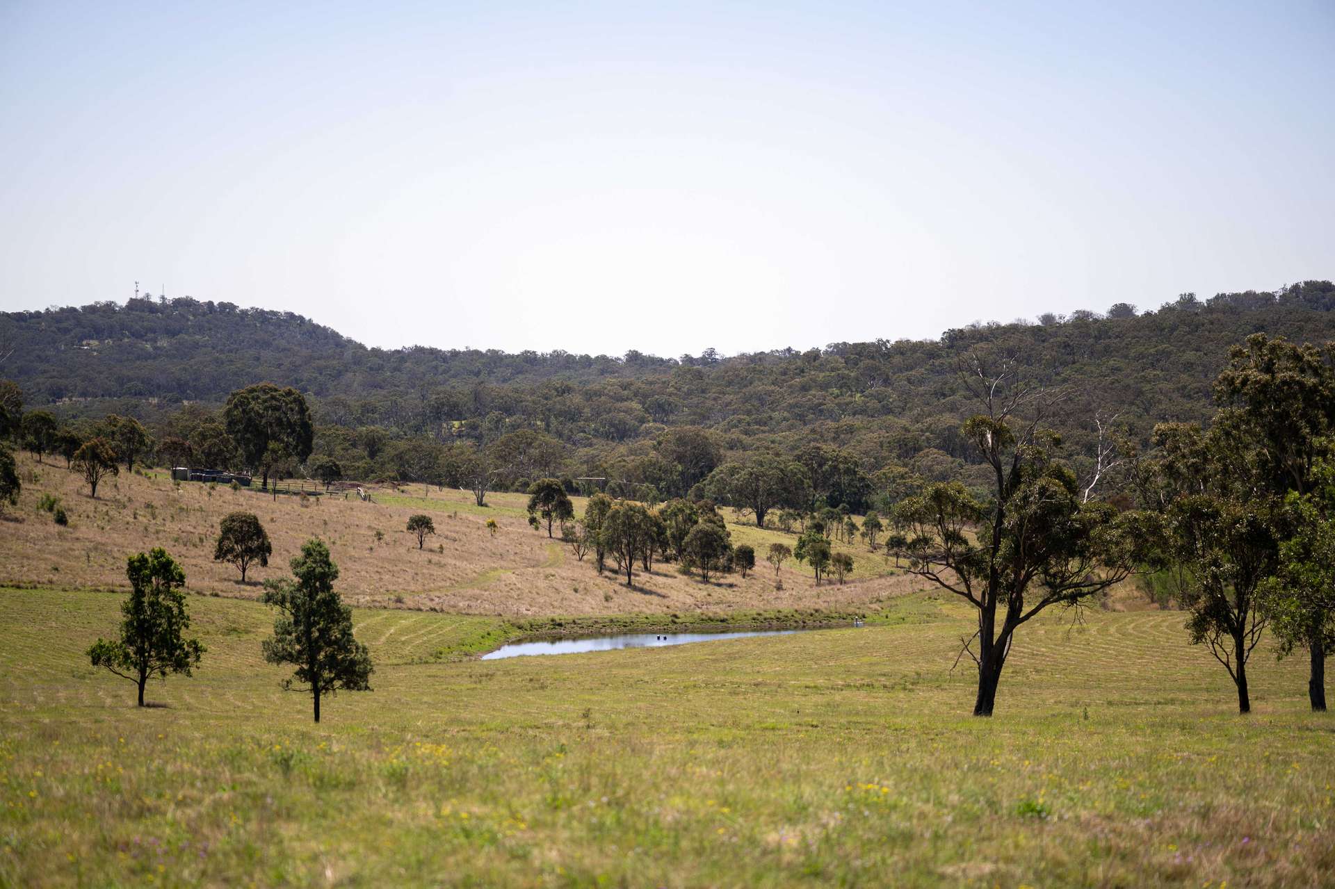 4 Brown Road, Dalveen For Sale by Farmbuy.com - image 8