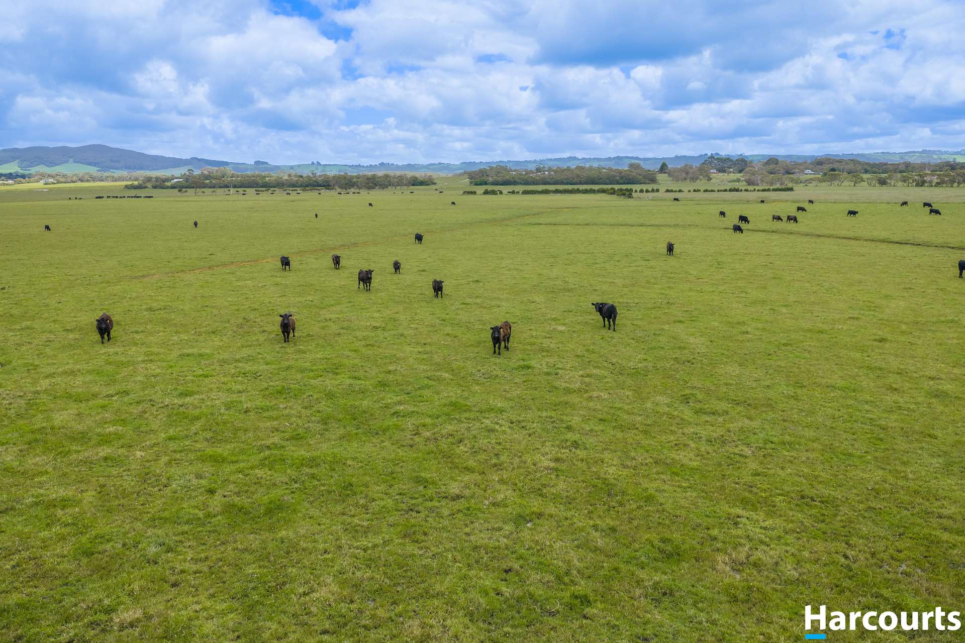 515 Fullers Road, Foster For Sale by Farmbuy.com - image 26