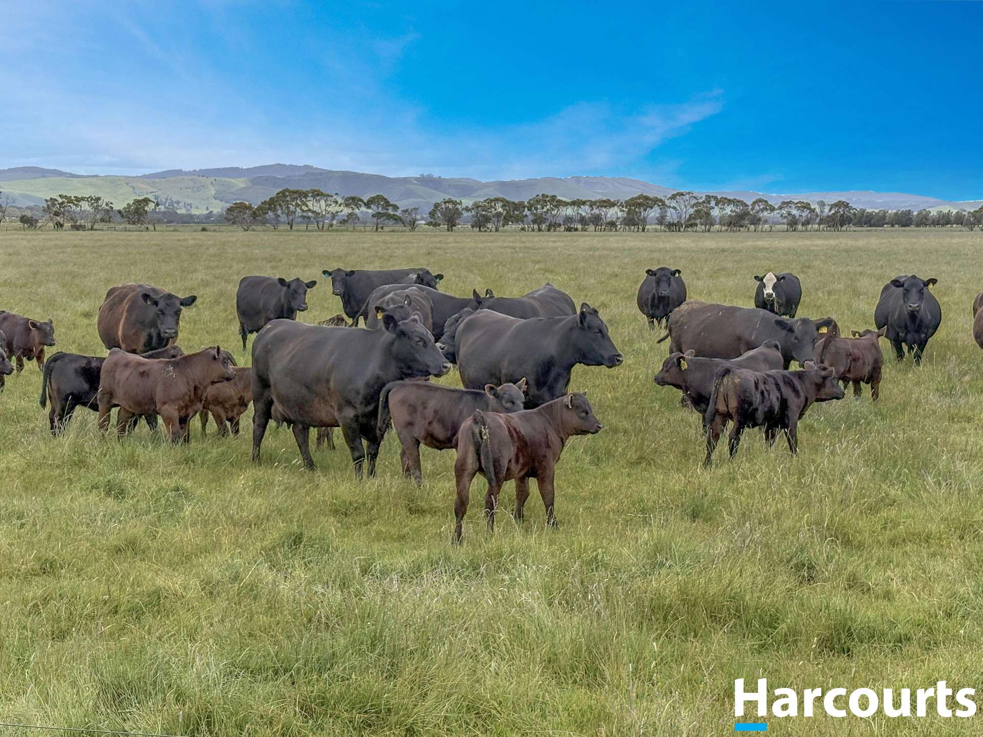 515 Fullers Road, Foster For Sale by Farmbuy.com - image 25