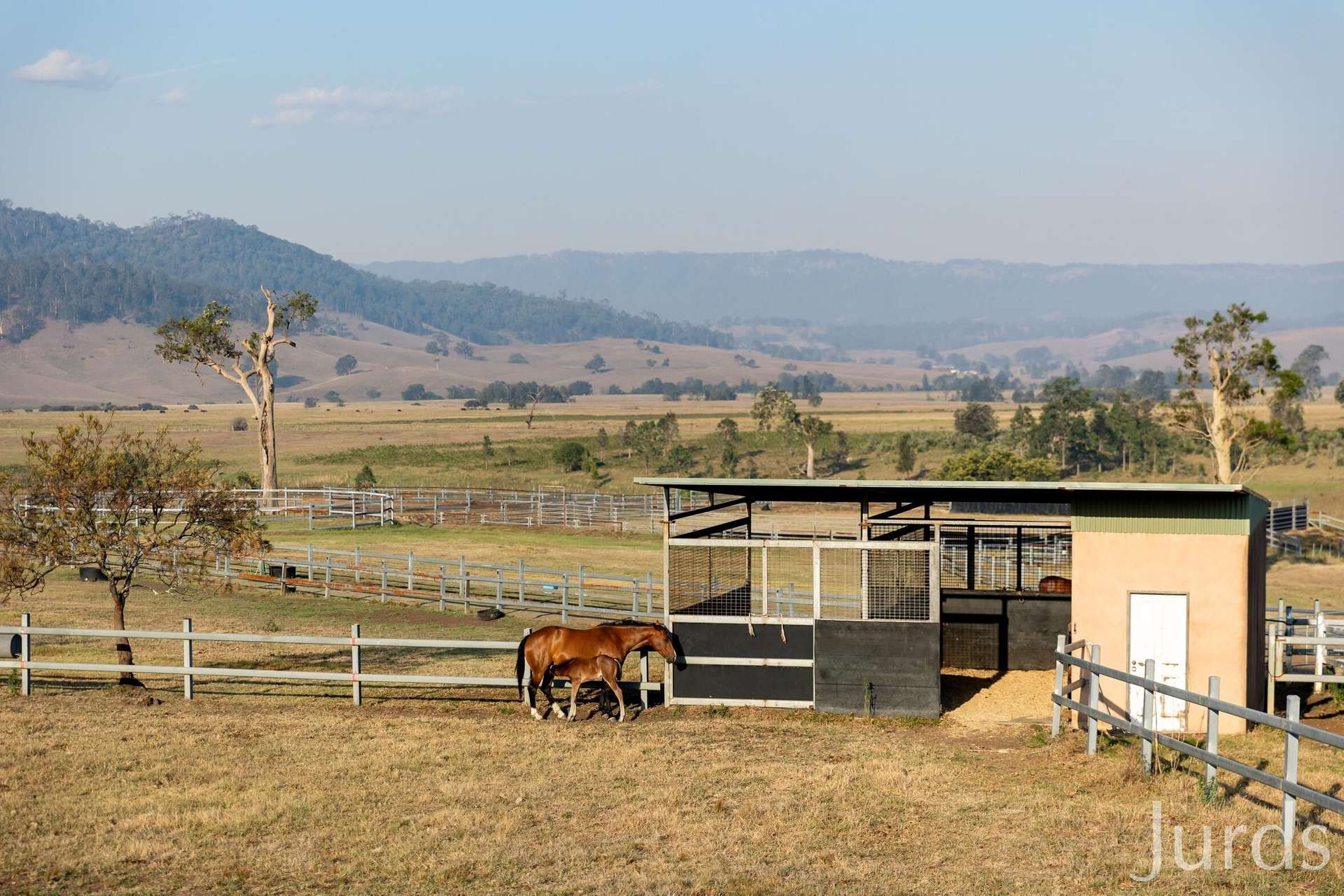 232C Fernhill Road, Dalwood For Sale by Farmbuy.com - image 7