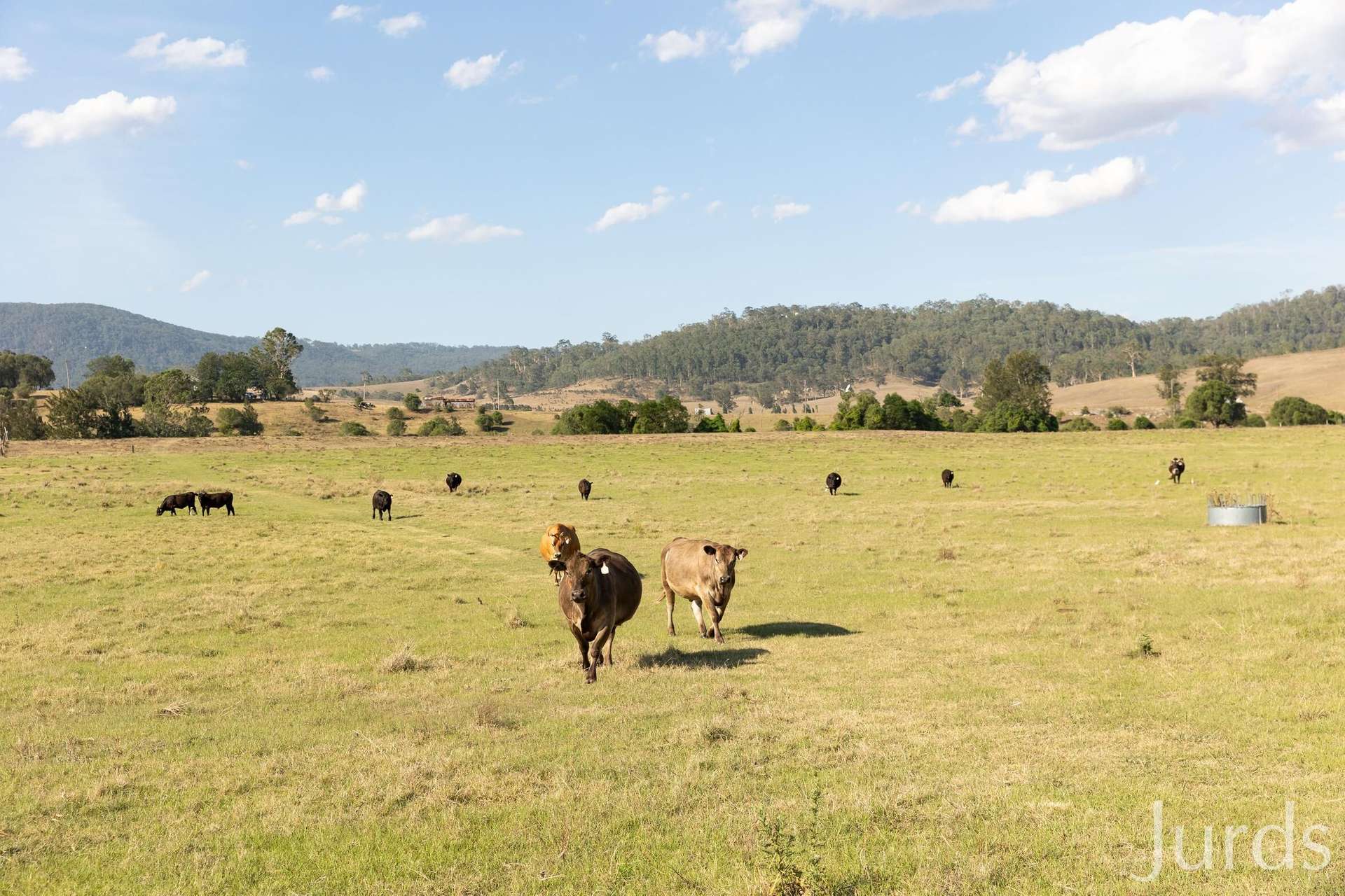 232C Fernhill Road, Dalwood For Sale by Farmbuy.com - image 19