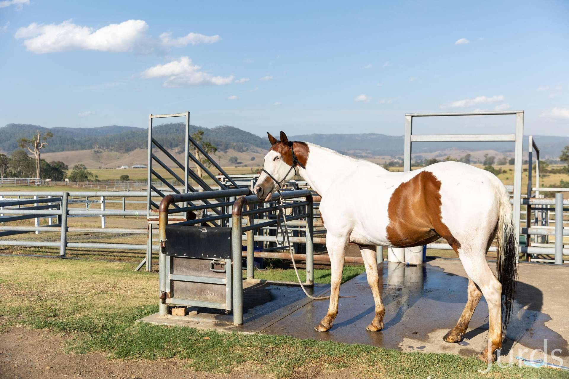 232C Fernhill Road, Dalwood For Sale by Farmbuy.com - image 10