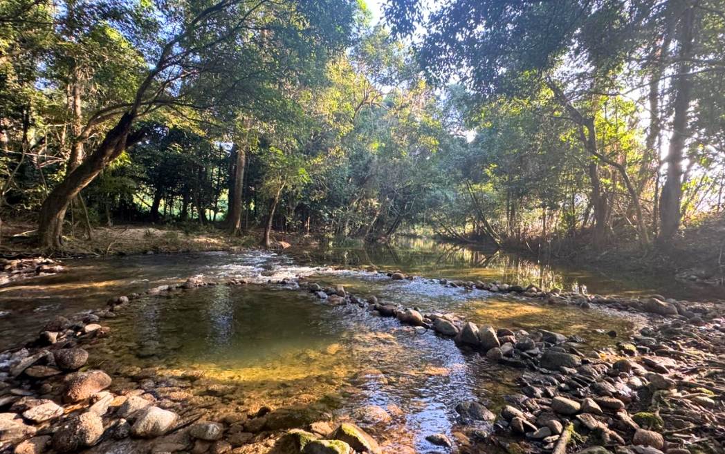 Lot 5 Whyanbeel Road, Whyanbeel, Mossman For Sale by Farmbuy.com - image 5