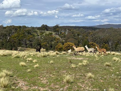 540 Marble Hill Road, Kingsdale NSW 2580