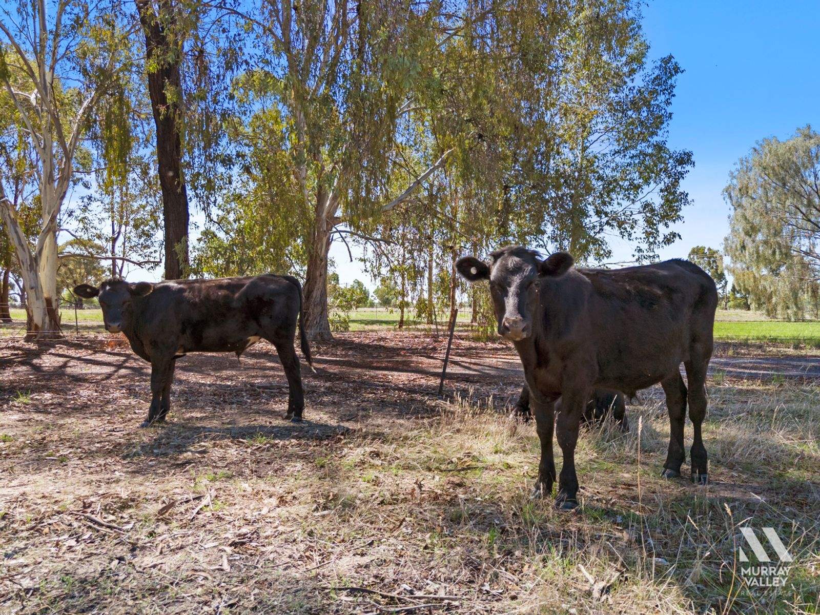3442 Wangaratta-Yarrawonga Road, Bundalong South For Sale by Farmbuy.com - image 35