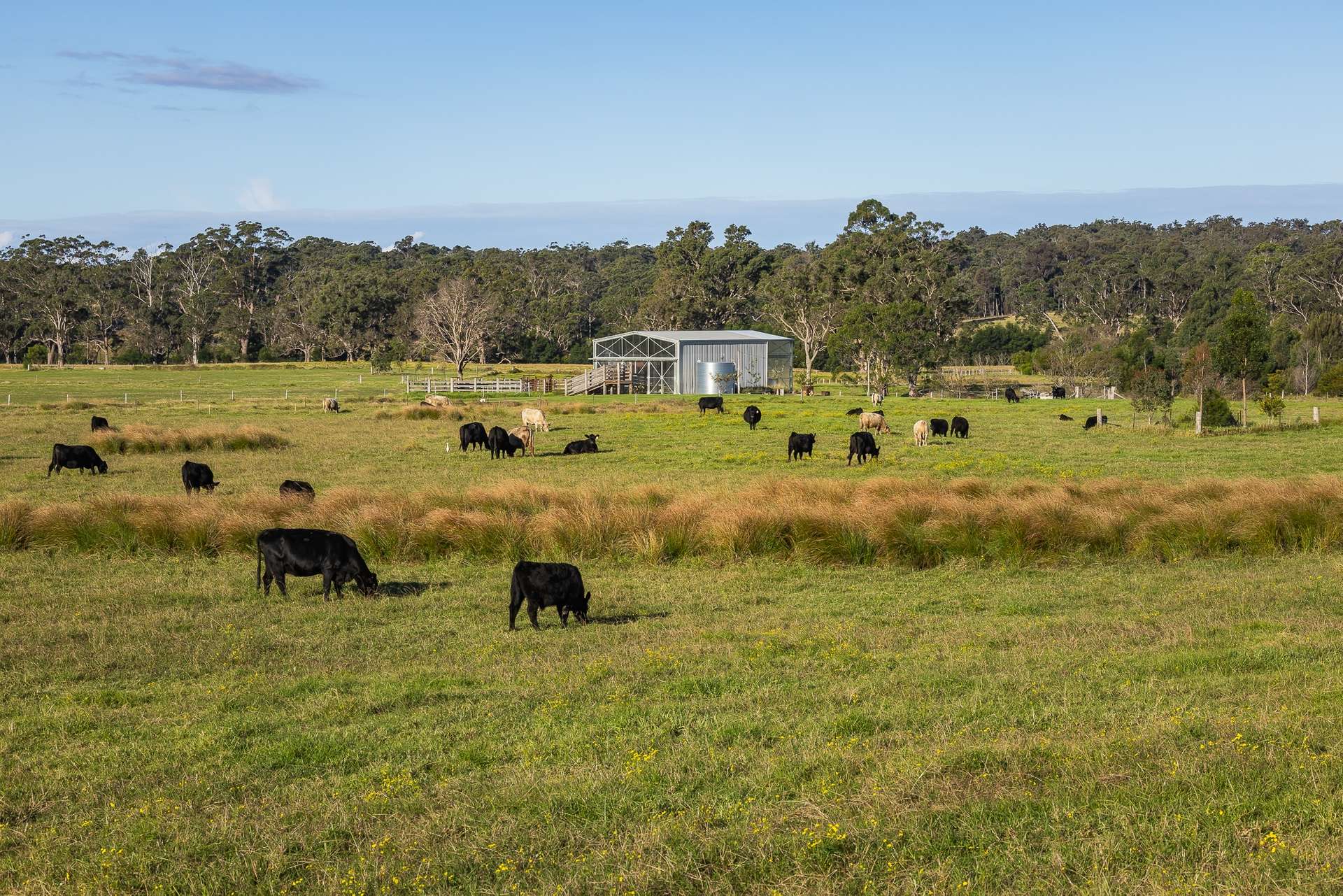 Tathra Sold by Farmbuy.com - image 1