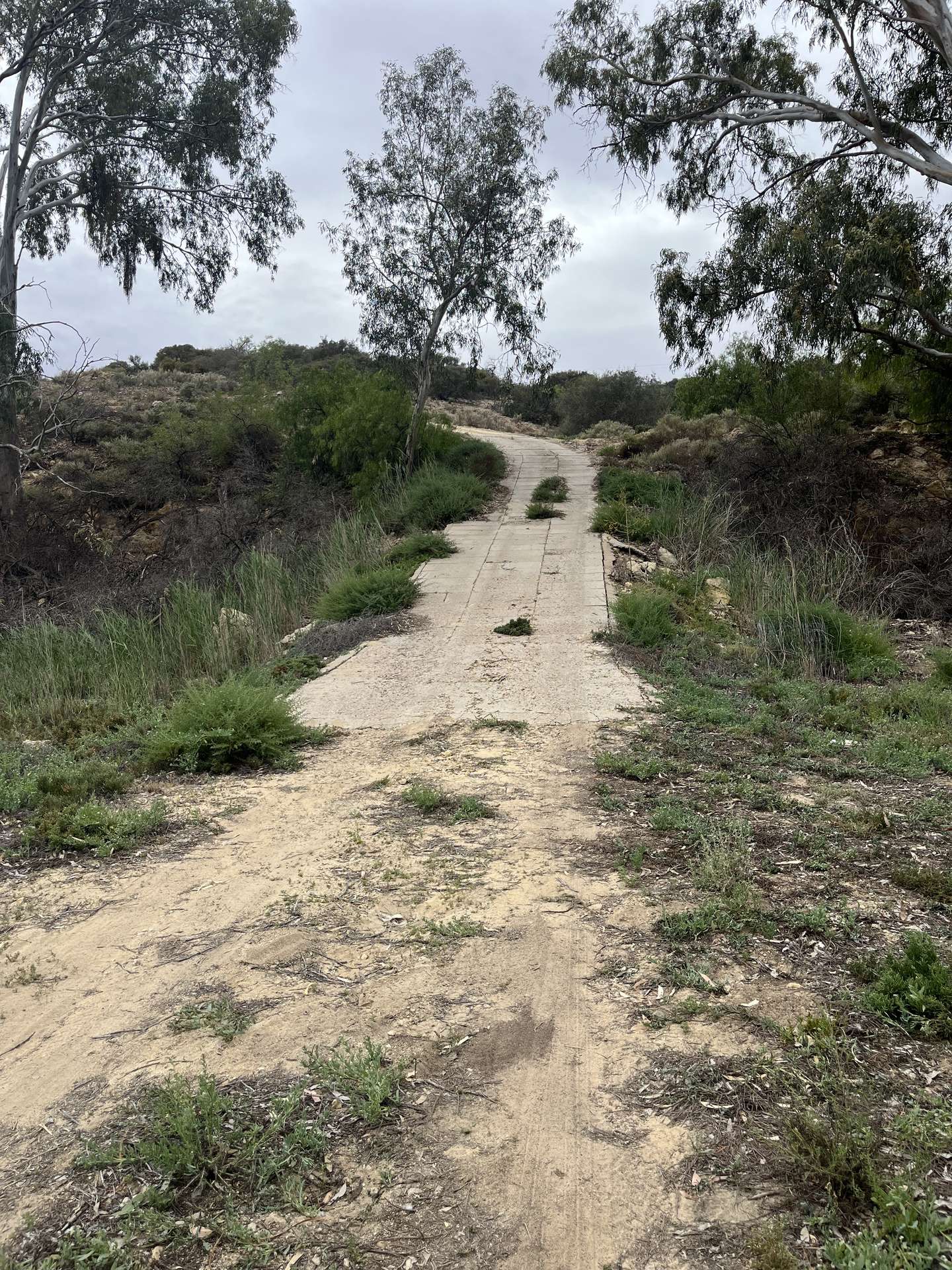 549 Murbko Road, Murbko For Sale by Farmbuy.com - image 23