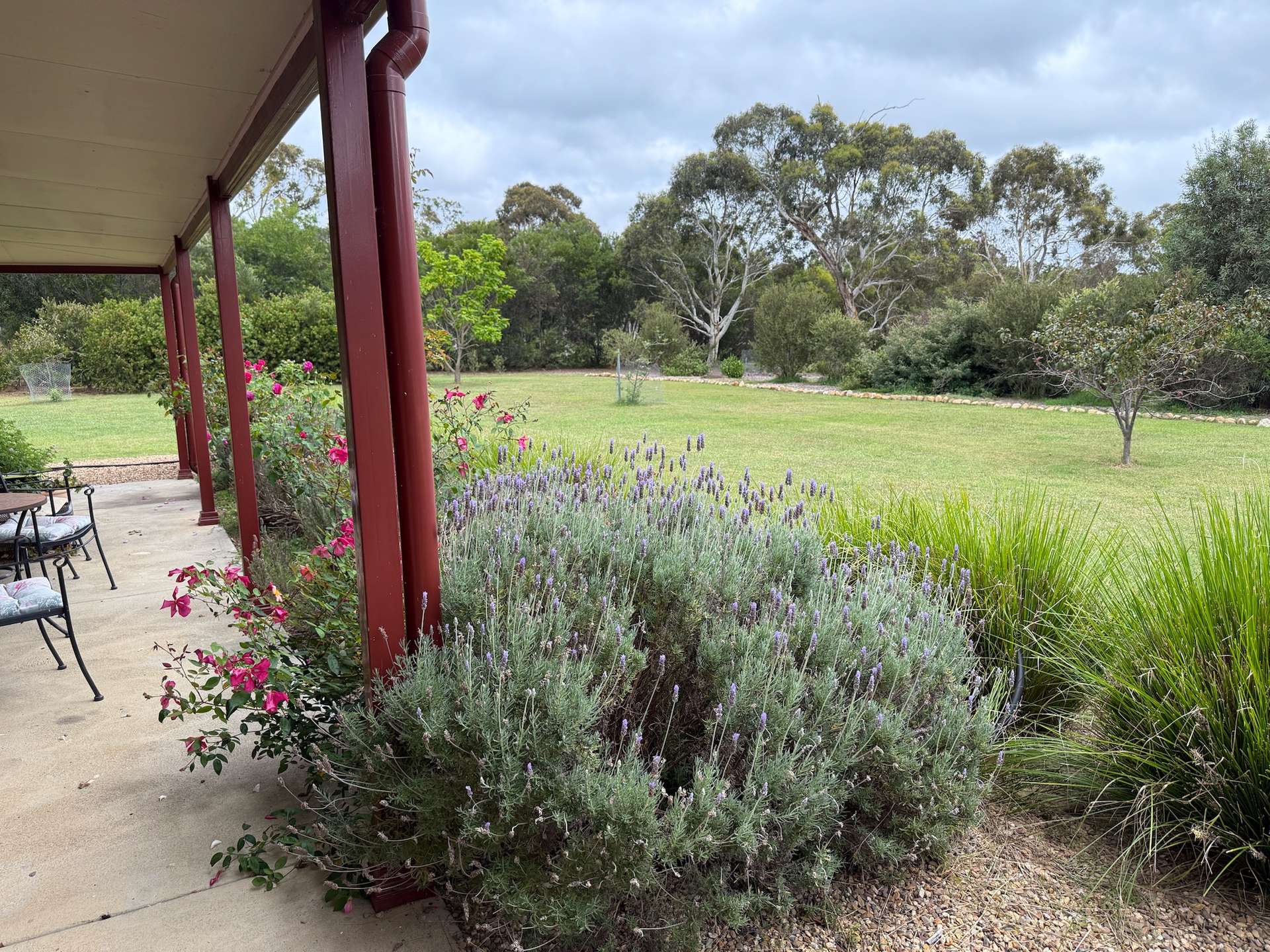 385 Foxs Elbow, Braidwood For Sale by Farmbuy.com - image 25