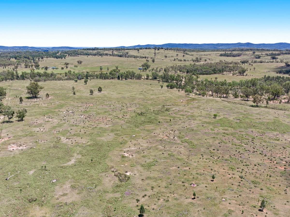 3167 Stanthorpe Inglewood Road, Inglewood For Sale by Farmbuy.com - image 23