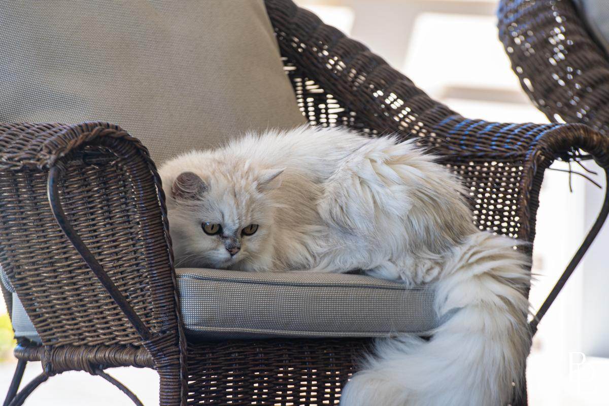 35 Greendale Close, Nowra Hill For Sale by Farmbuy.com - image 28