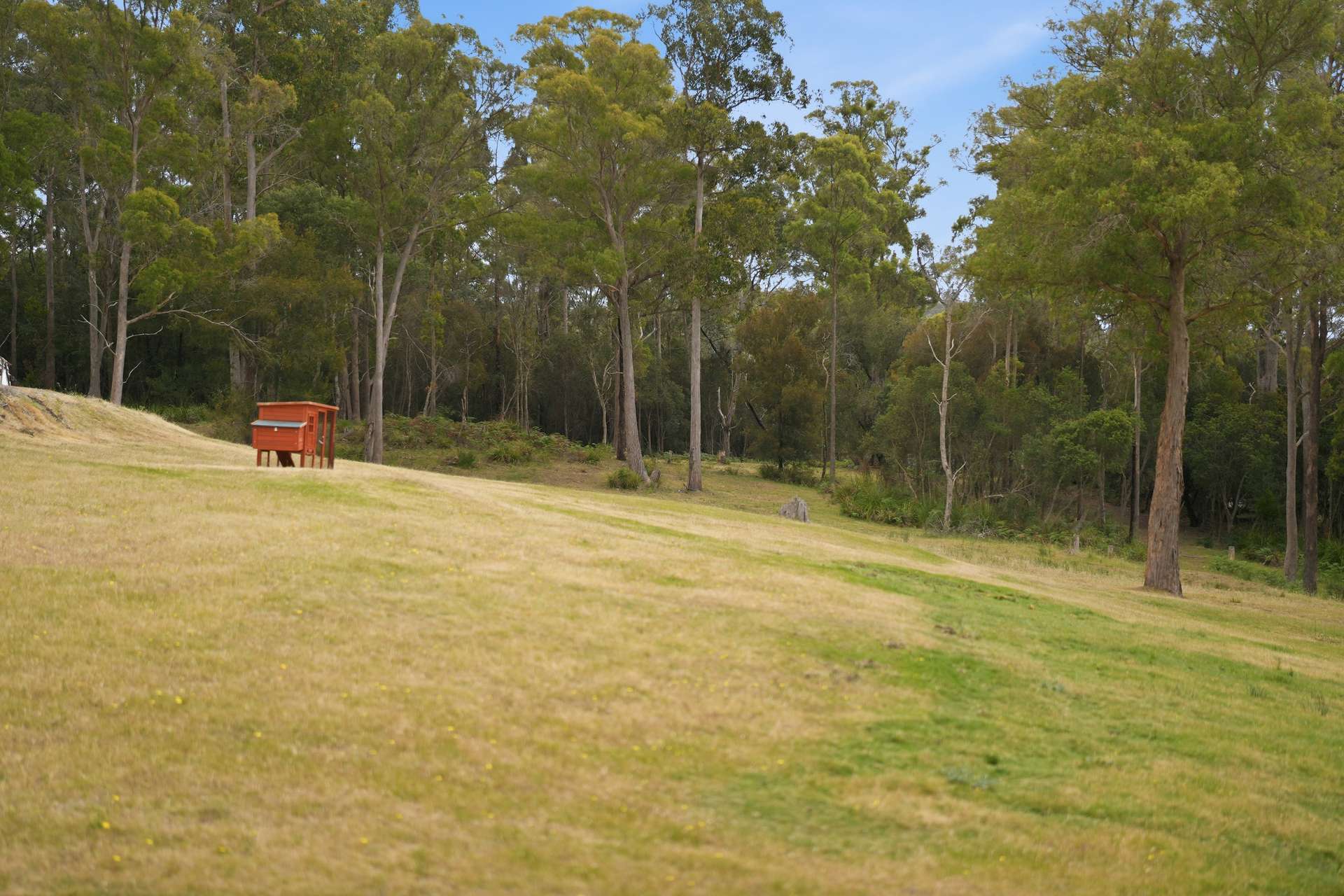 867 Turkey Farm Road South, Bridgenorth For Sale by Farmbuy.com - image 30