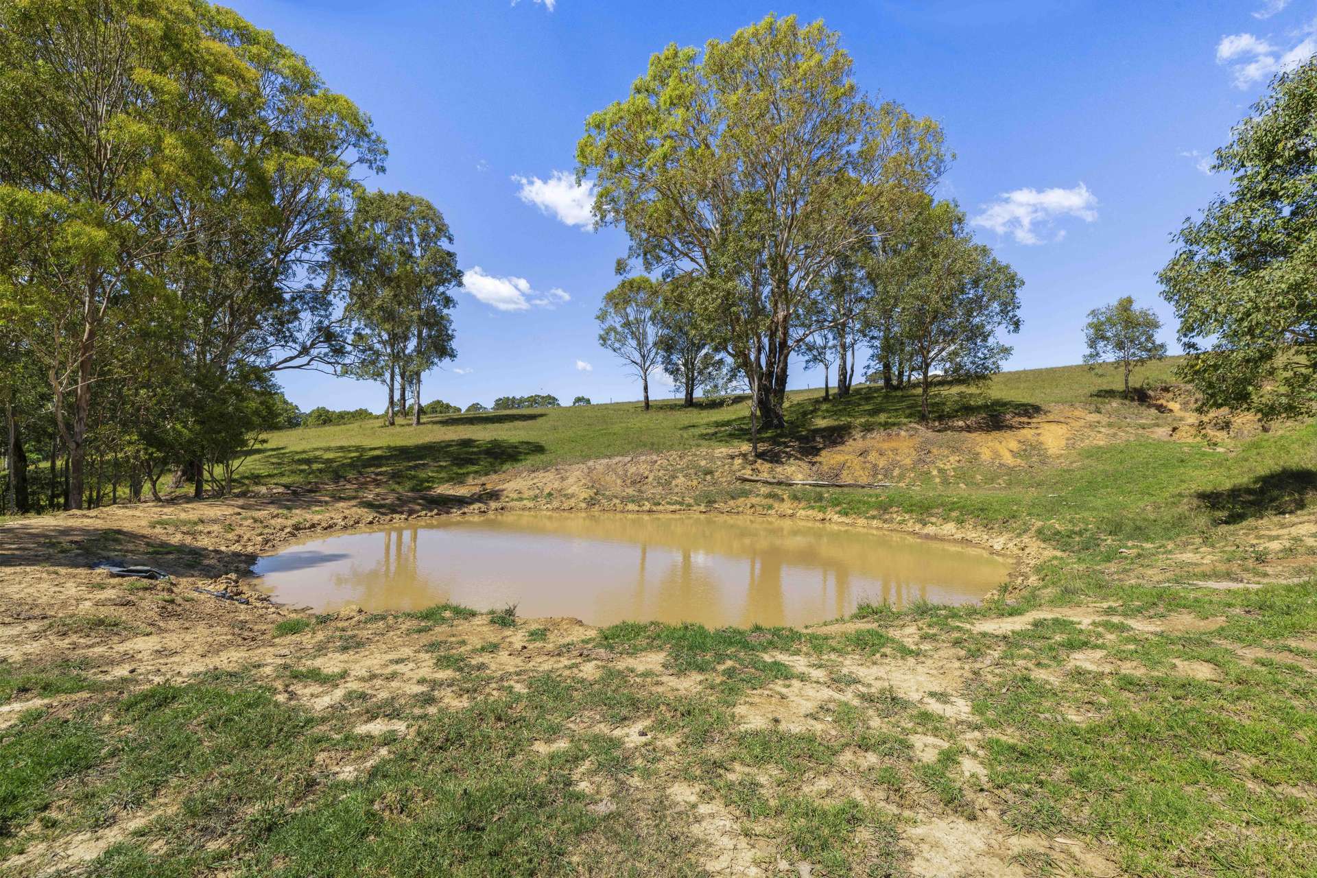 268 Parma Road, Parma For Sale by Farmbuy.com - image 8