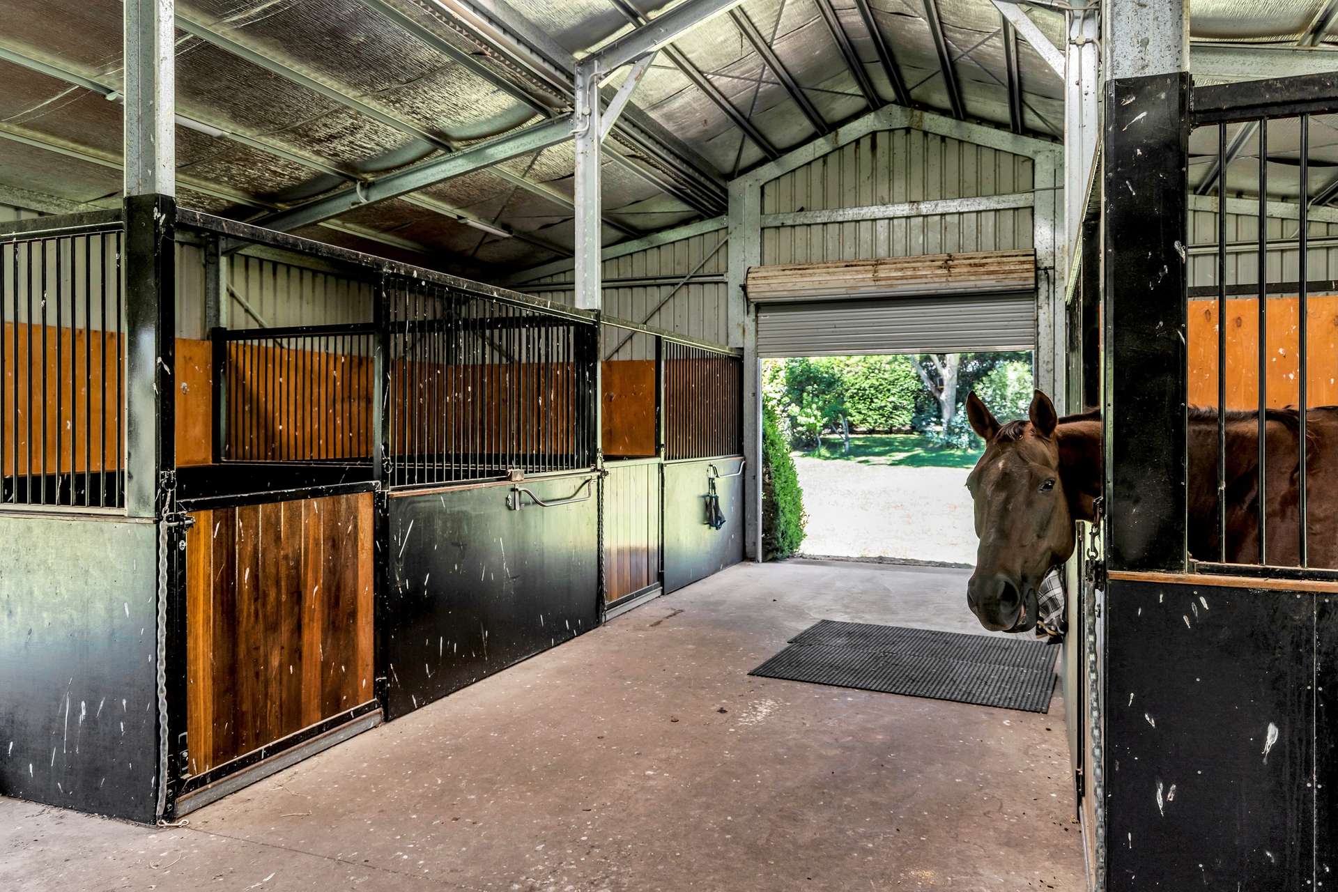 388 Candelo-Bega Road, Kanoona Sold by Farmbuy.com - image 33