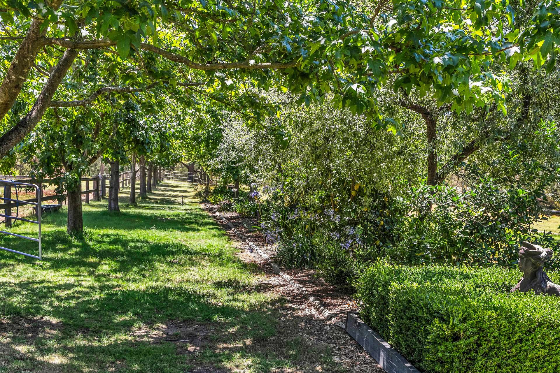 388 Candelo-Bega Road, Kanoona For Sale by Farmbuy.com - image 31