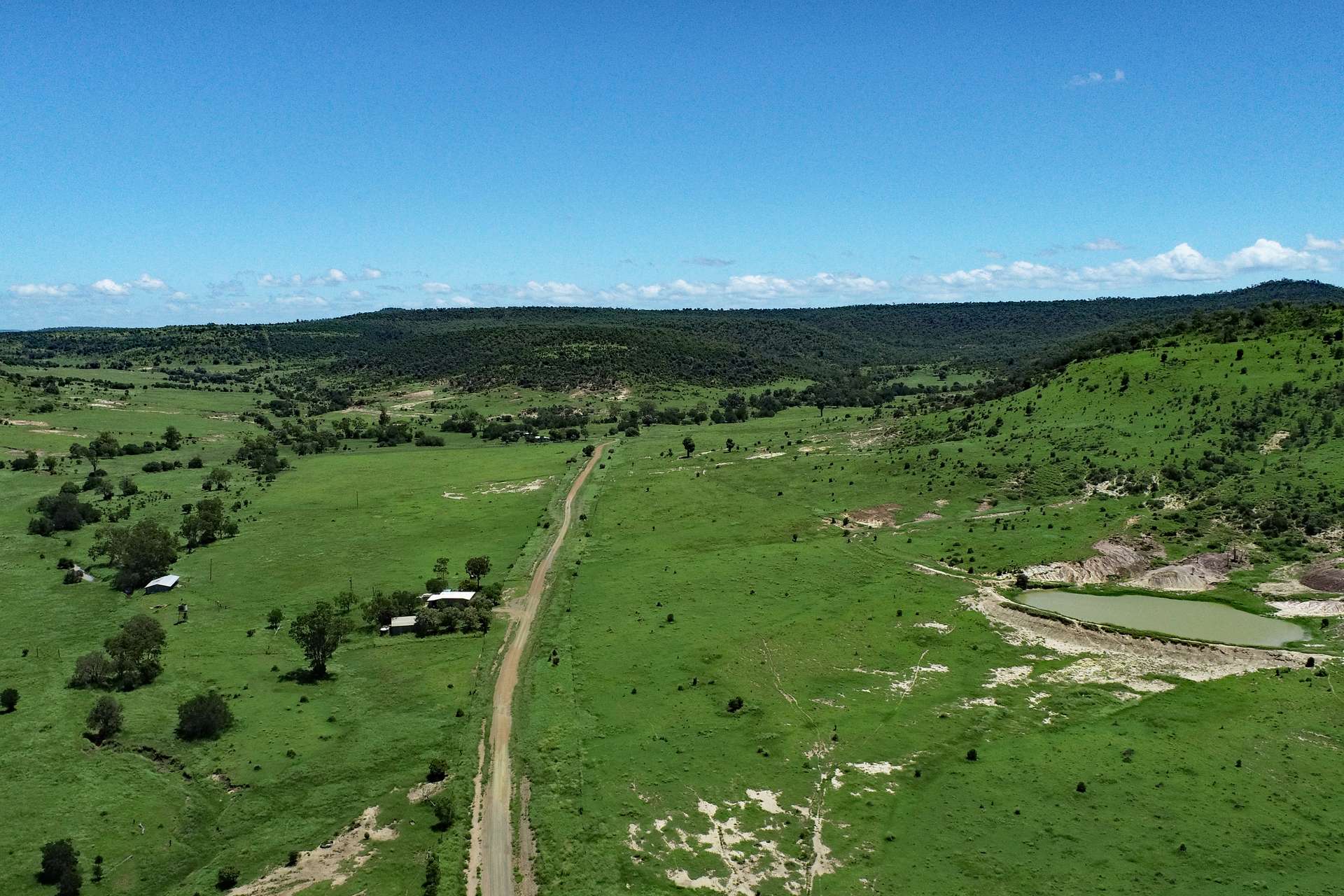 Thangool Auction by Farmbuy.com - image 1