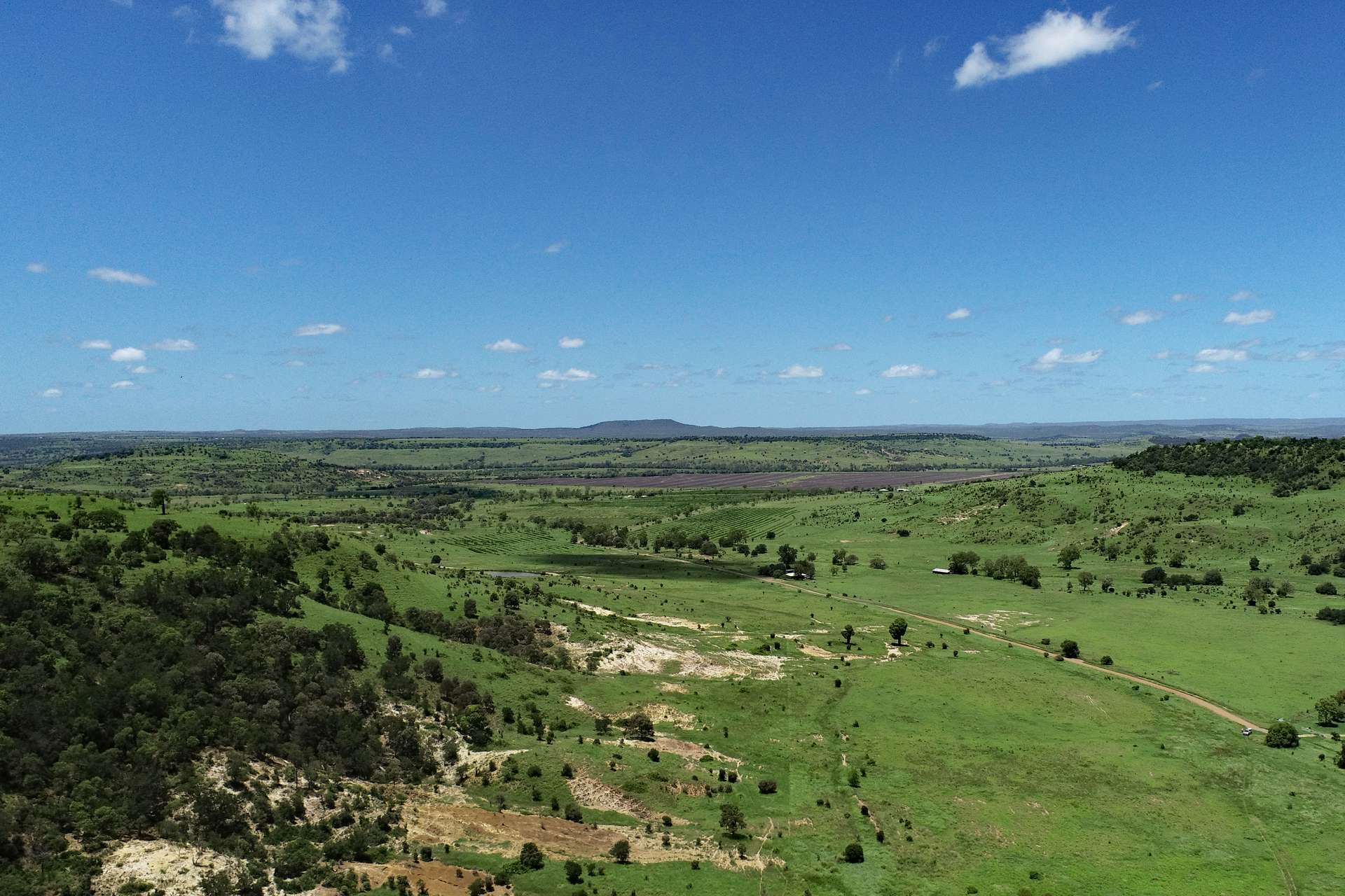 Thangool Auction by Farmbuy.com - image 8