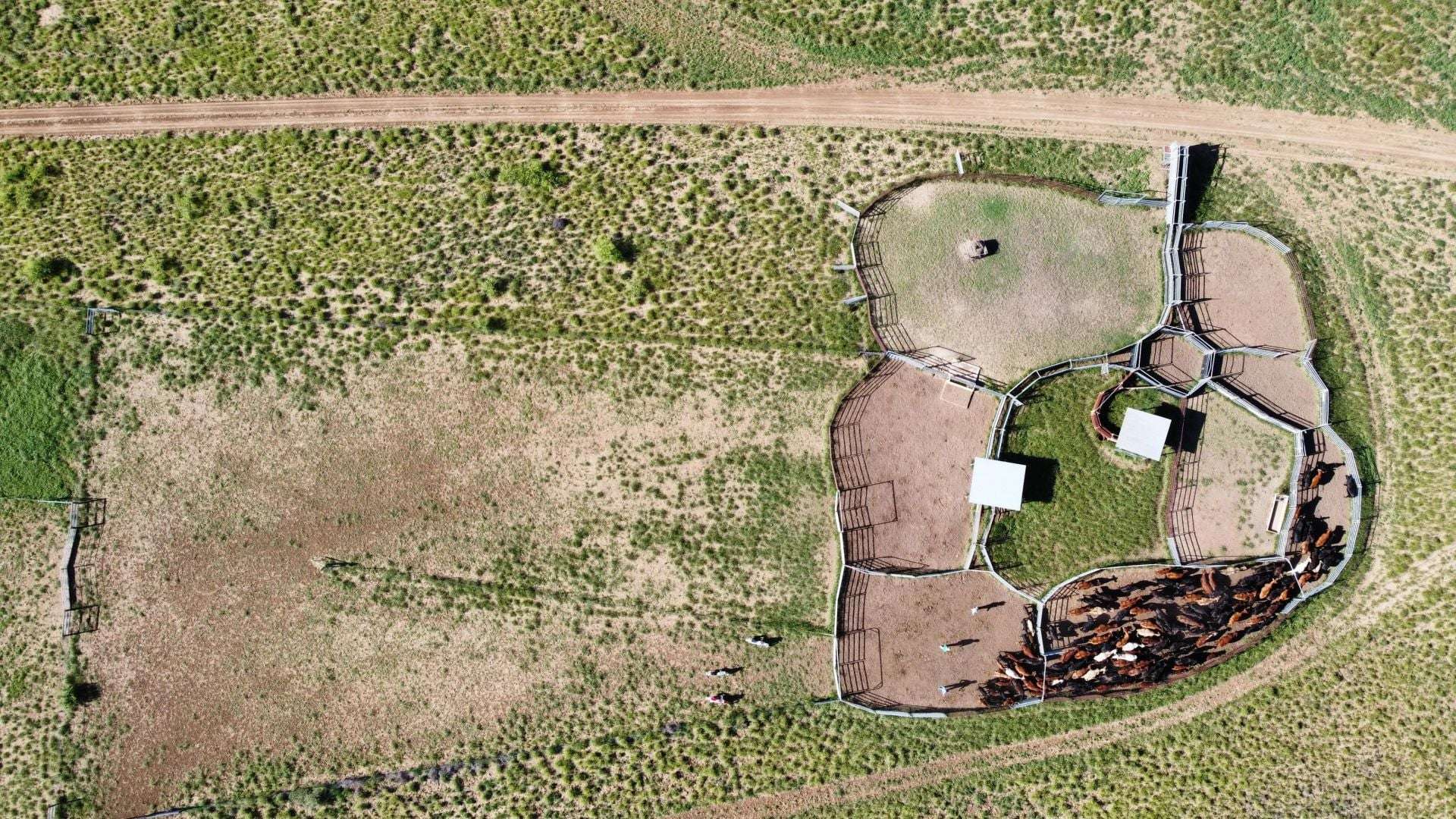 1970 Saltern Creek Road, Barcaldine For Sale by Farmbuy.com - image 7