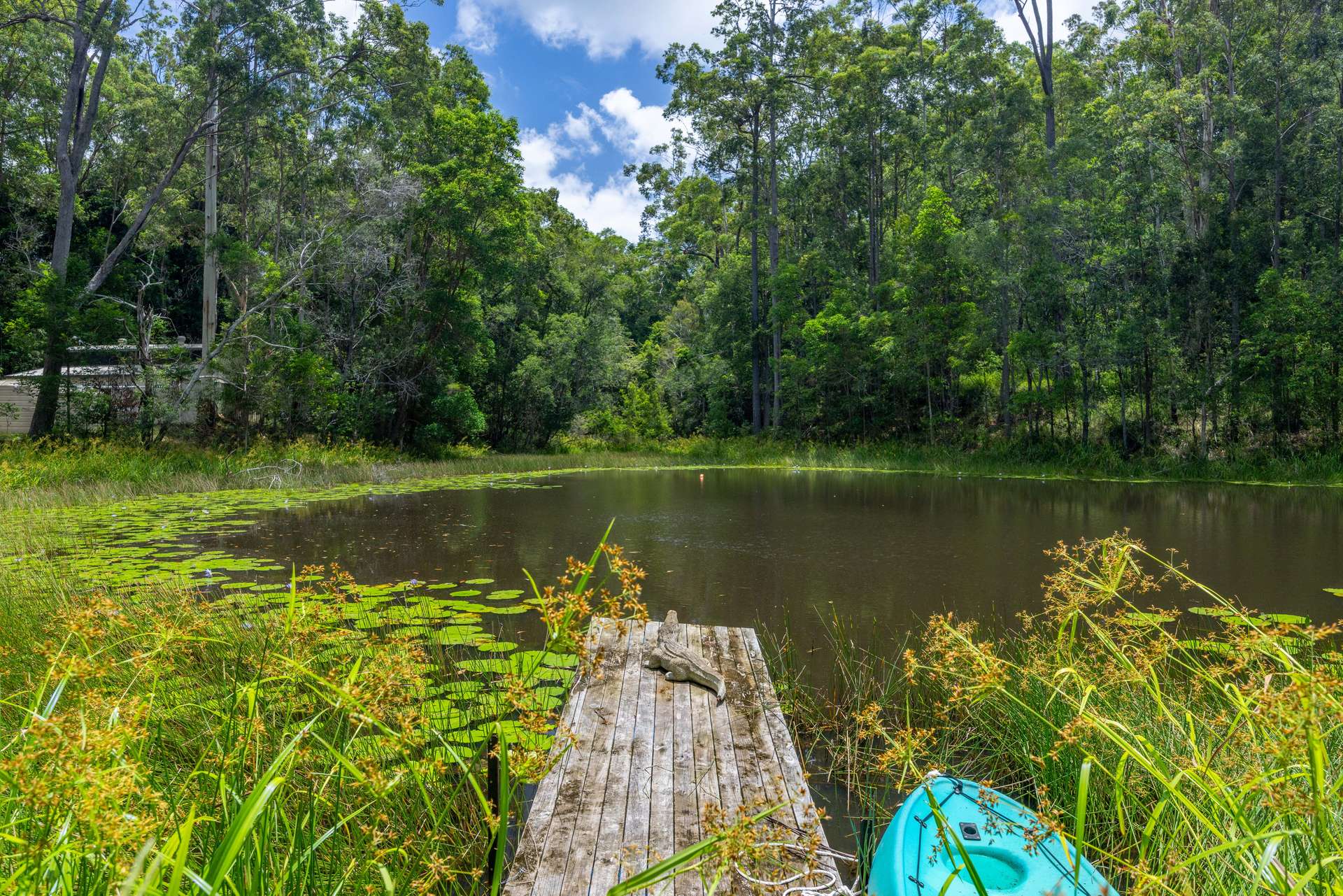 272 Ringtail Creek Road, Ringtail Creek For Sale by Farmbuy.com - image 26