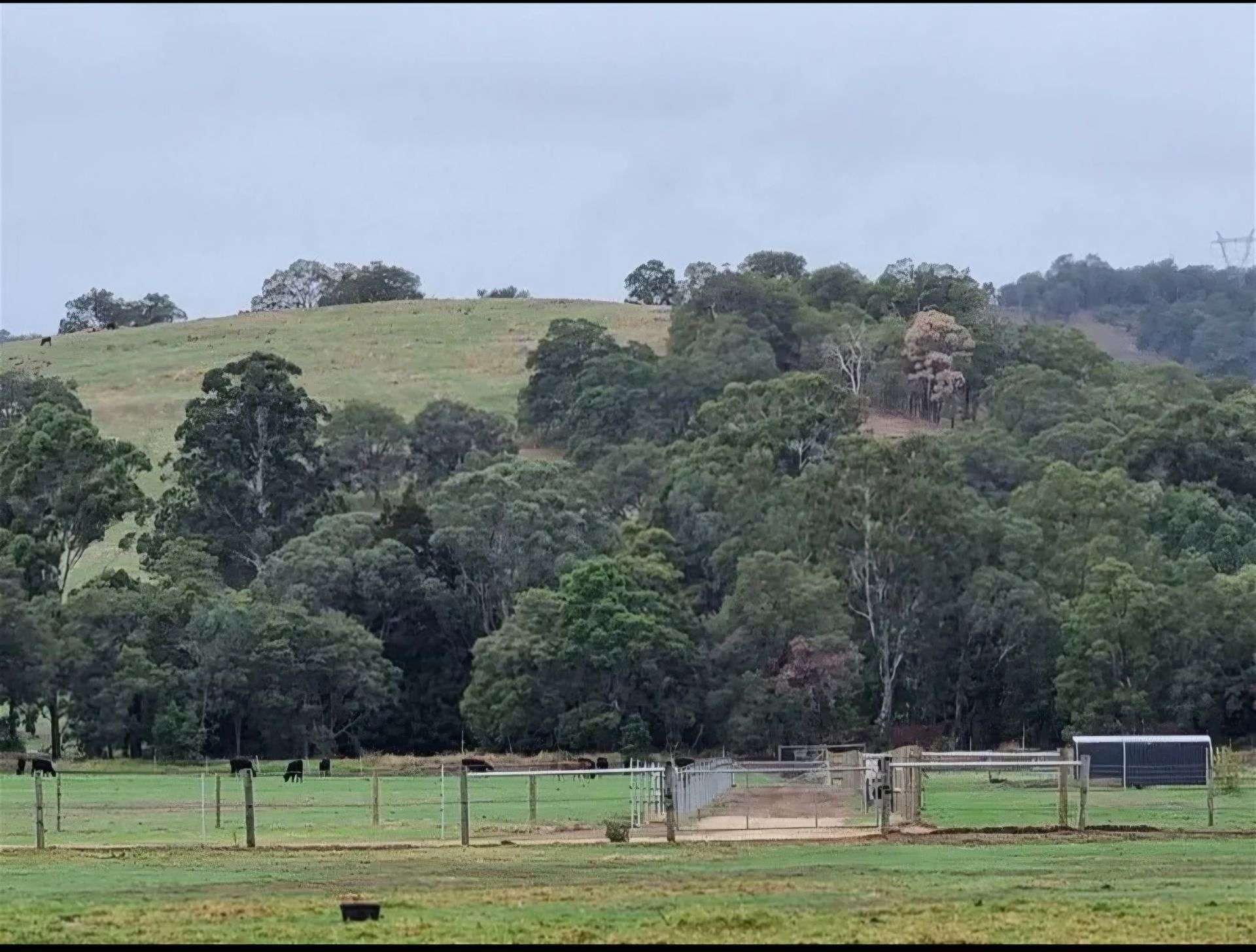 24 Thompson Rd, Harvey For Sale by Farmbuy.com - image 16