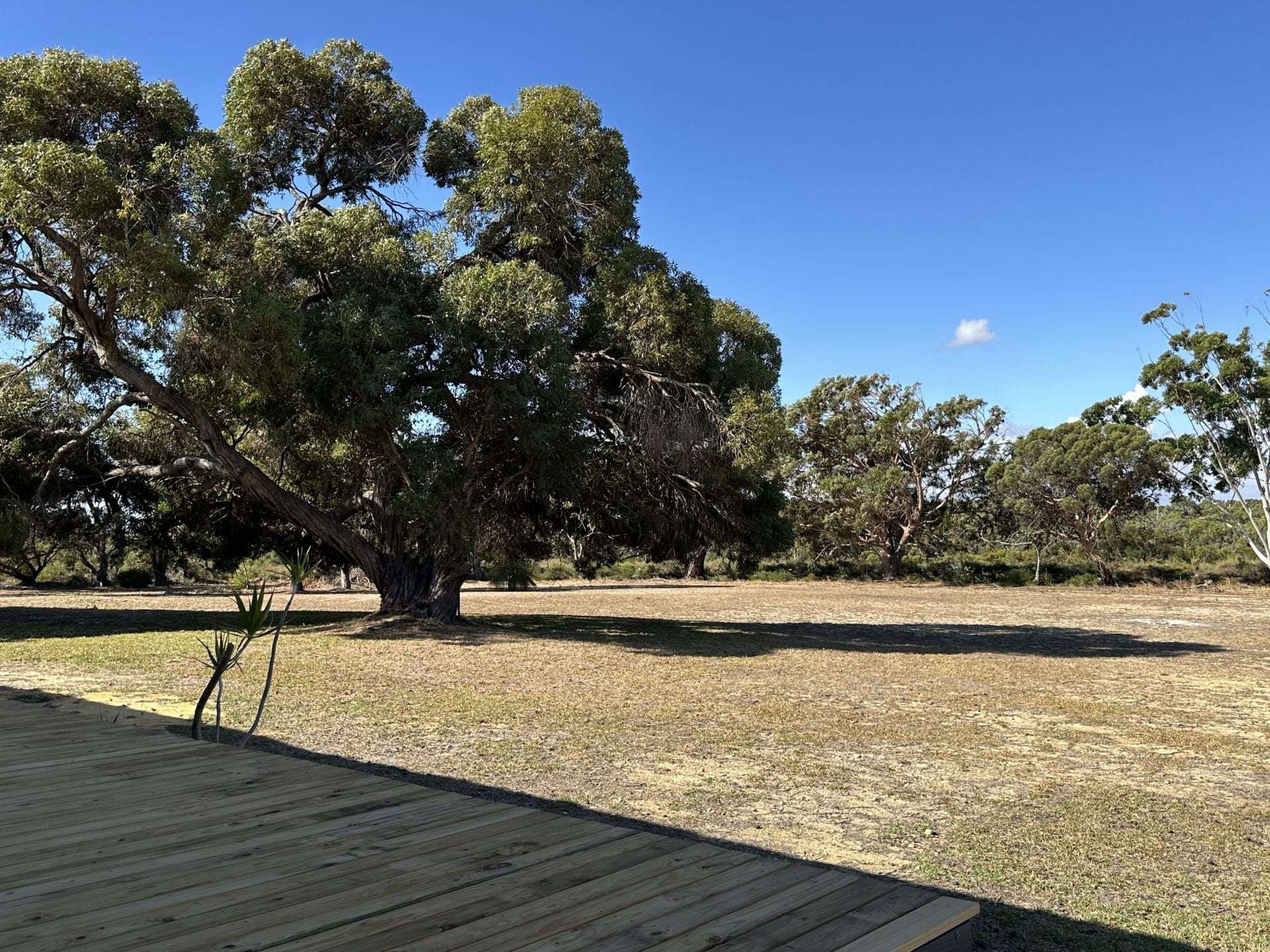 68 Kangaroo Way, Nilgen For Sale by Farmbuy.com - image 21