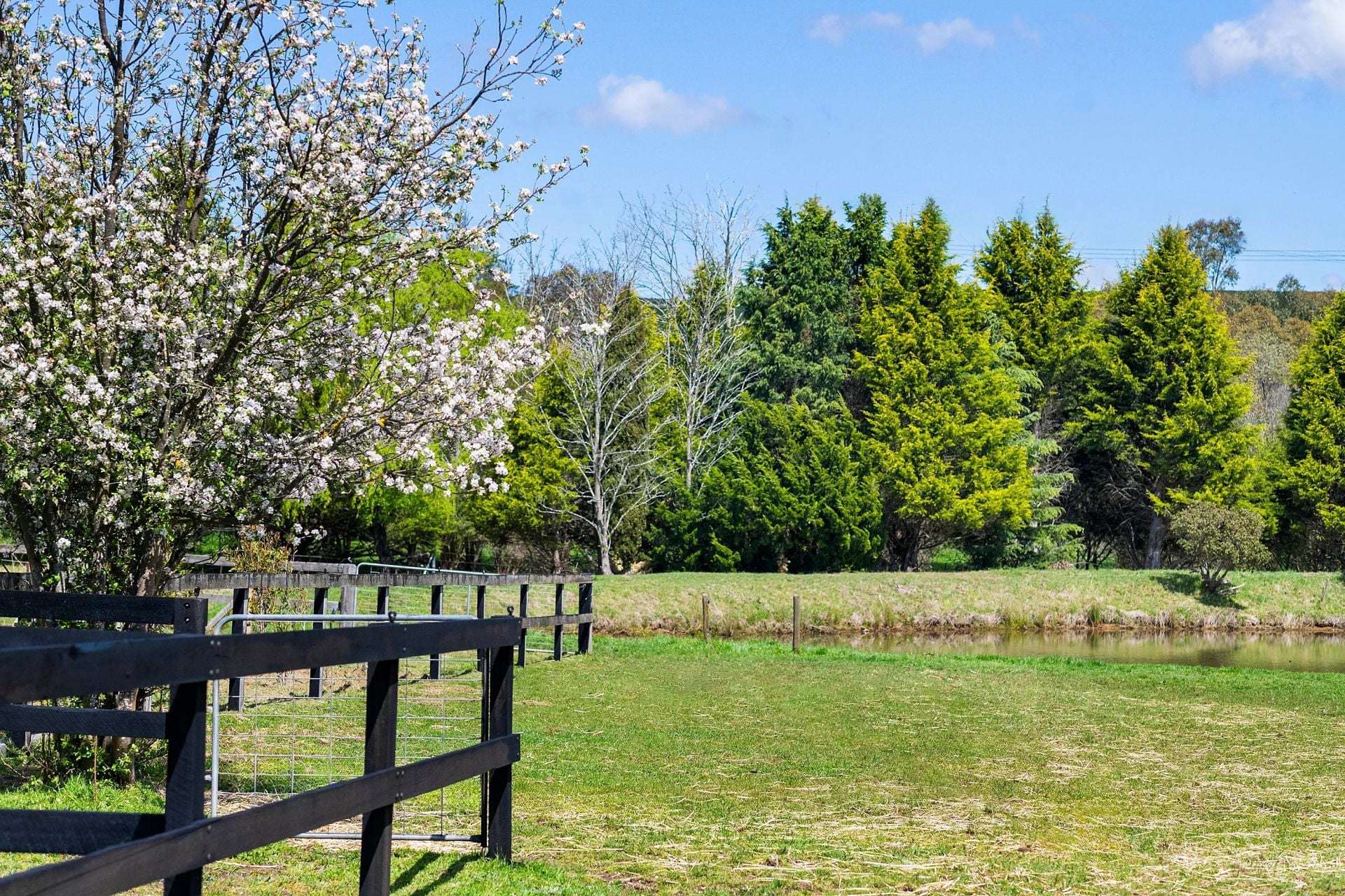 138 Bibbys Lane, Werai For Sale by Farmbuy.com - image 20
