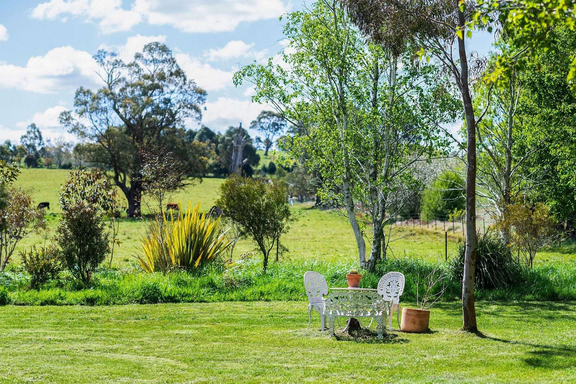 138 Bibbys Lane, Werai For Sale by Farmbuy.com - image 15