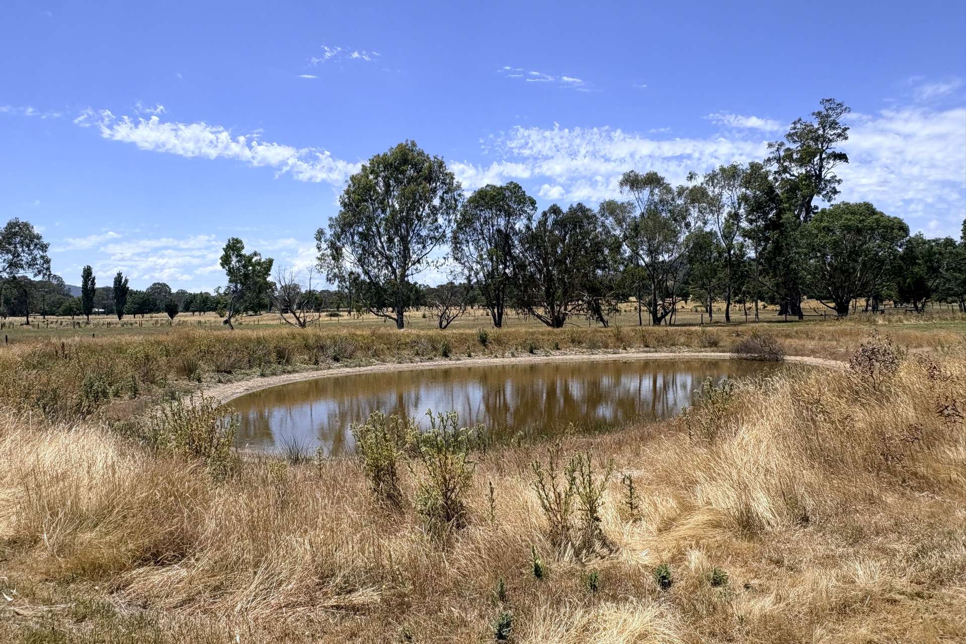 523 Howes Creek-Goughs Bay Road, Goughs Bay For Sale by Farmbuy.com - image 15