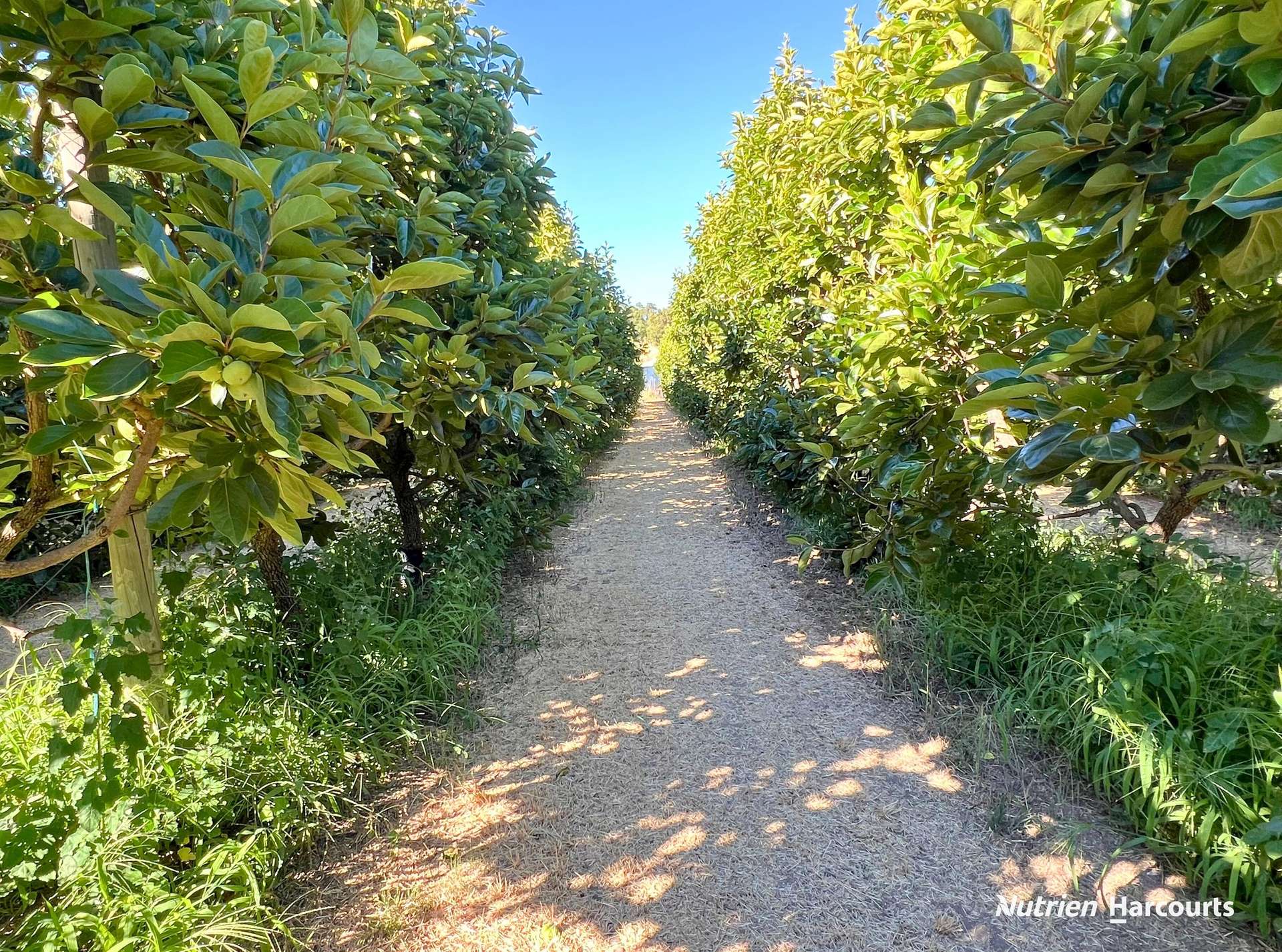 Lot 21 Brookton Highway, Karragullen For Sale by Farmbuy.com - image 4