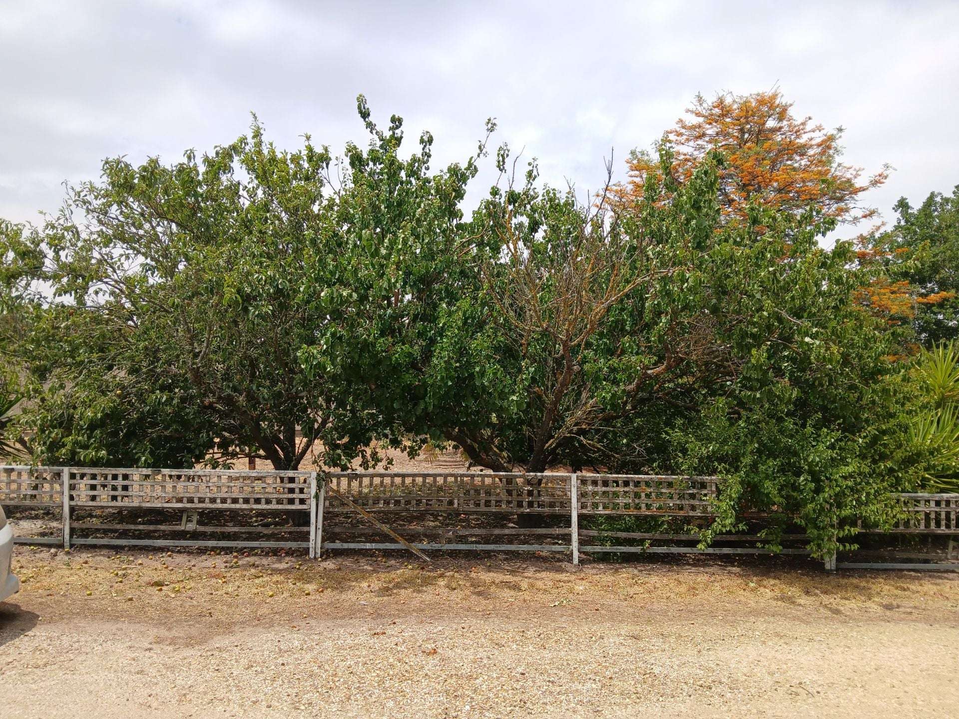 1-3 Station Street, Willaura Sold by Farmbuy.com - image 17