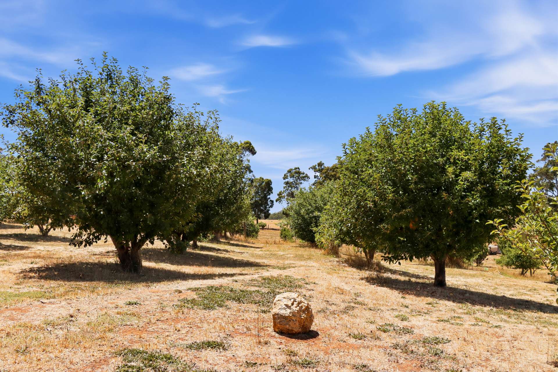 5 Mottram Street, Bridgetown For Sale by Farmbuy.com - image 27